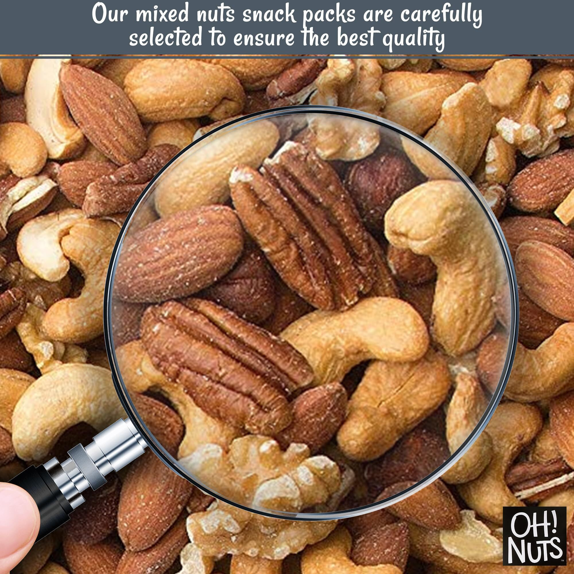 Mixed Nuts | Roasted Unsalted Cashews, Walnuts, Hazelnuts, Almonds | 2 Lb | Packed In New York Zip-Seal Bag For Exceptional Freshness By Oh Nuts