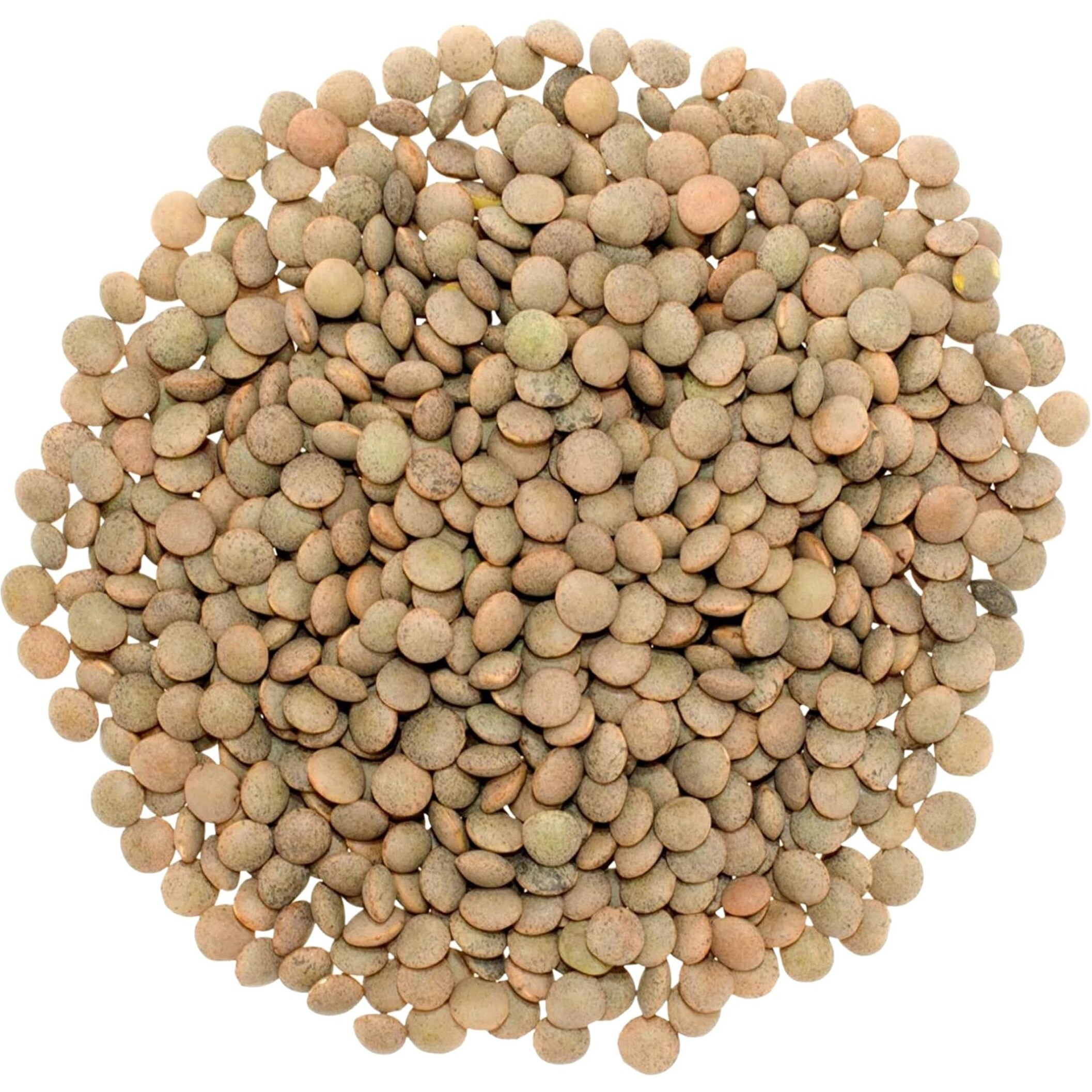 Small Brown Lentils | 15 Lbs | Family Farmed In Washington State | 100% Desiccant Free | Non-Gmo Project Verified | 100% Non-Irradiated | Kosher | Field Traced | (5 Pound, Pack Of 3)