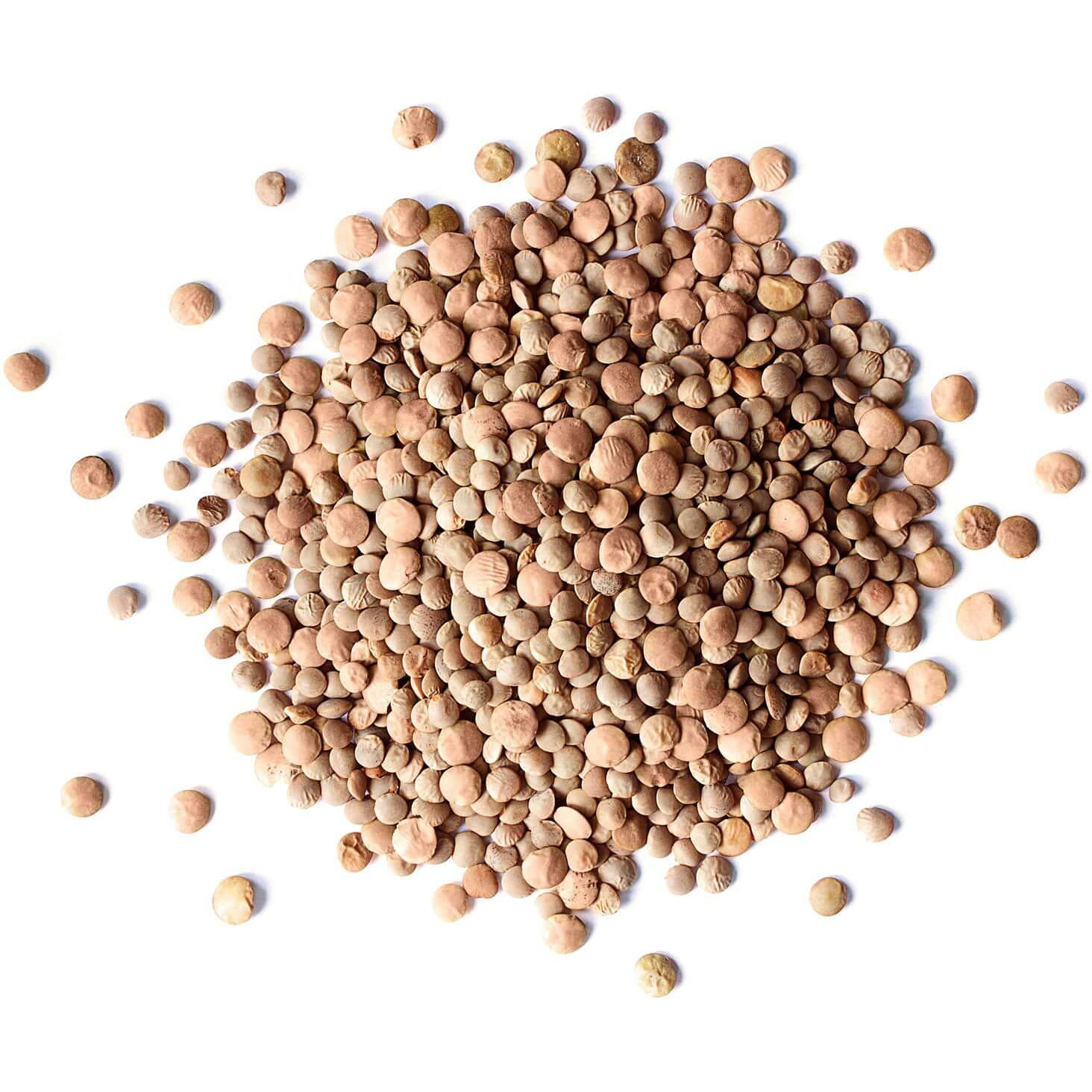 Food To Live Organic Whole Red Lentils, 5 Pounds Non-Gmo, Dry Raw Lentils, Sproutable, Vegan, Kosher, Bulk. Easy To Cook. Good Source Of Folate, Fiber, And Protein. For Lentil Soup, Stews, And Curry