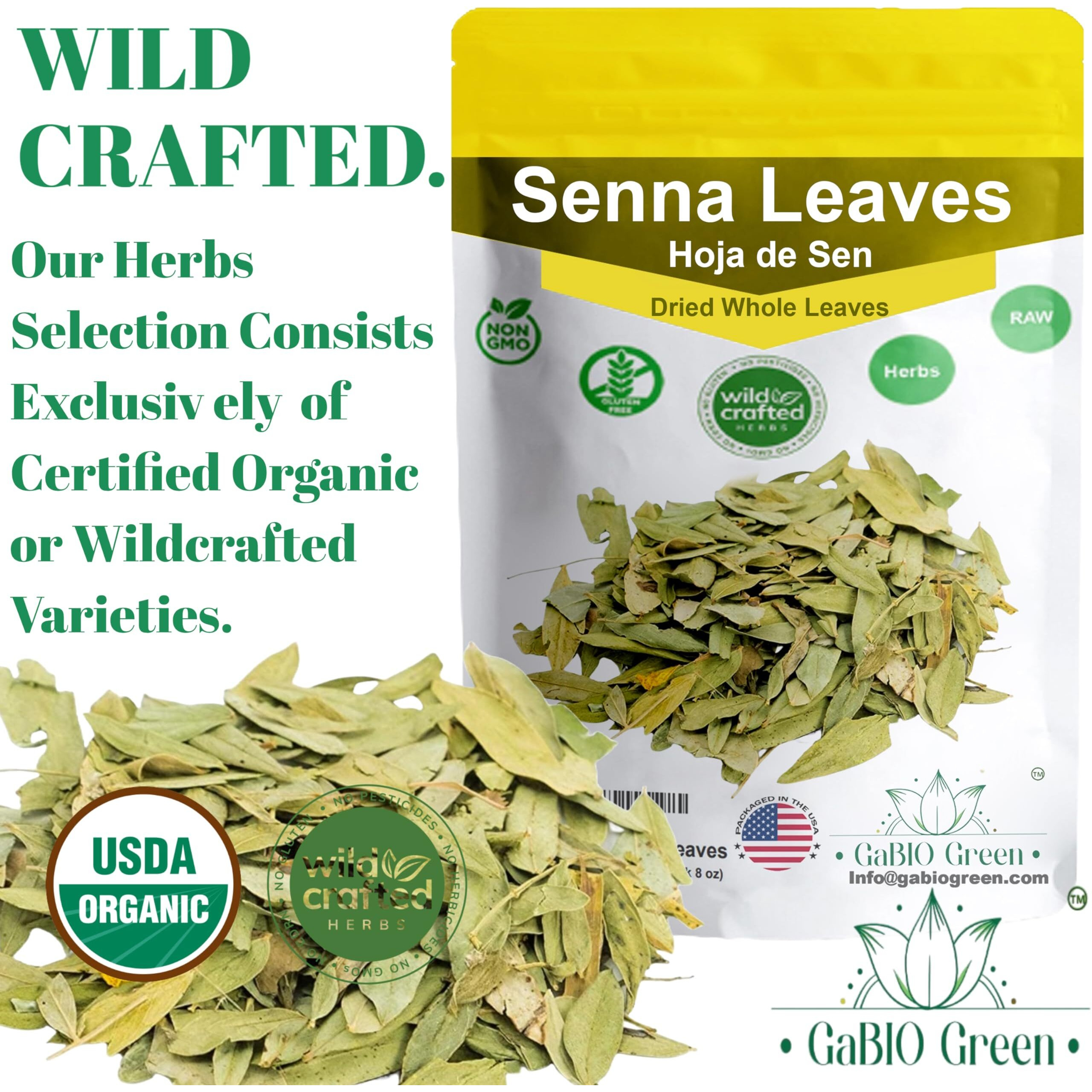 Natural Senna Leaves Hoja Sen Dried Herbal Leaves, Senna Raw Leaf, Hoja Sen Cut & Sifted Herbs, Non-Gmo, Gluten-Free, Senna Alexandrina In A Resealable Bag (2Oz)