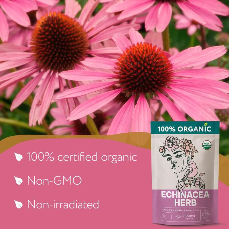 Echinacea Tea (Echinacea Purpurea) - Organic Echinacea Herb - Immune Support, Respiratory, Digestion - Loose Leaf Herbal Tea Equinacea Organica - 4 Oz