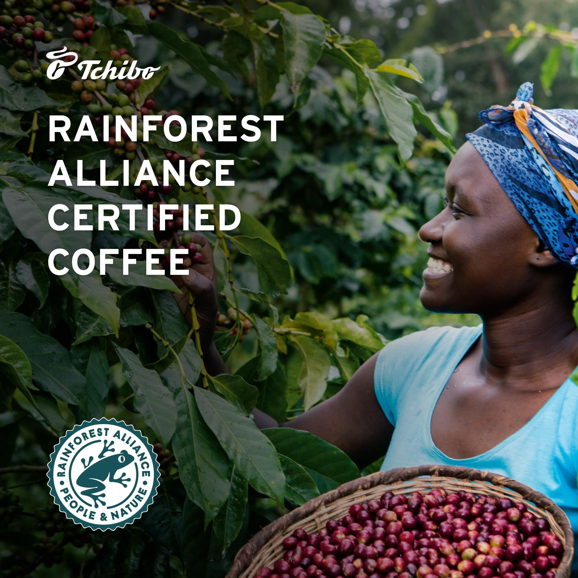Tchibo Ground Coffee - Rst Frisch Classic Blend - Lightly Roasted Arabica Beans With Delicate Hints Of Dark Chocolate - Intensity 3/6, Acidity 2/6, Roast Level 2/6-12 Oz - Pack Of 3