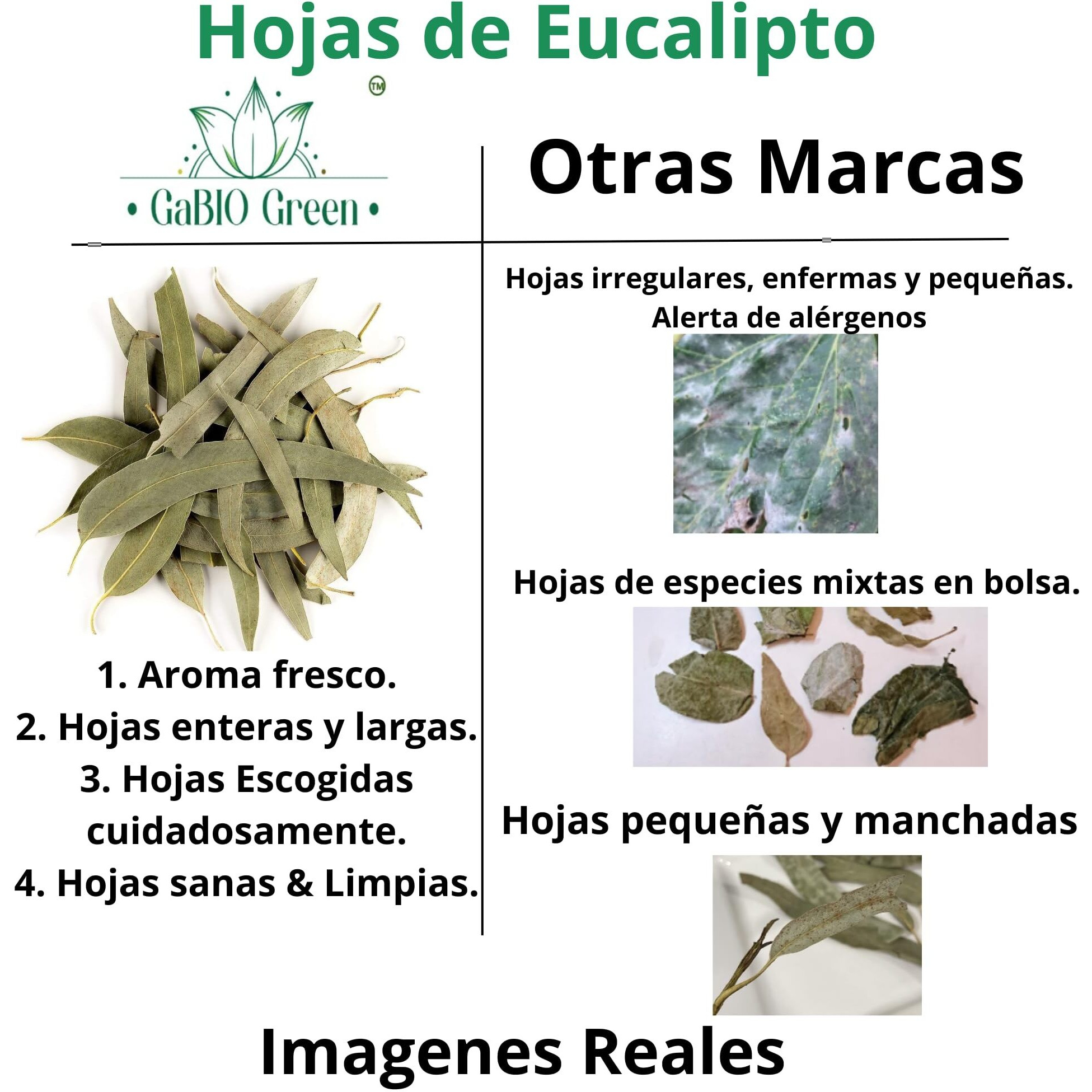 Natural Eucalyptus Herb Leaves, Whole Eucalyptus Leaves, 56G (2.0 Oz)