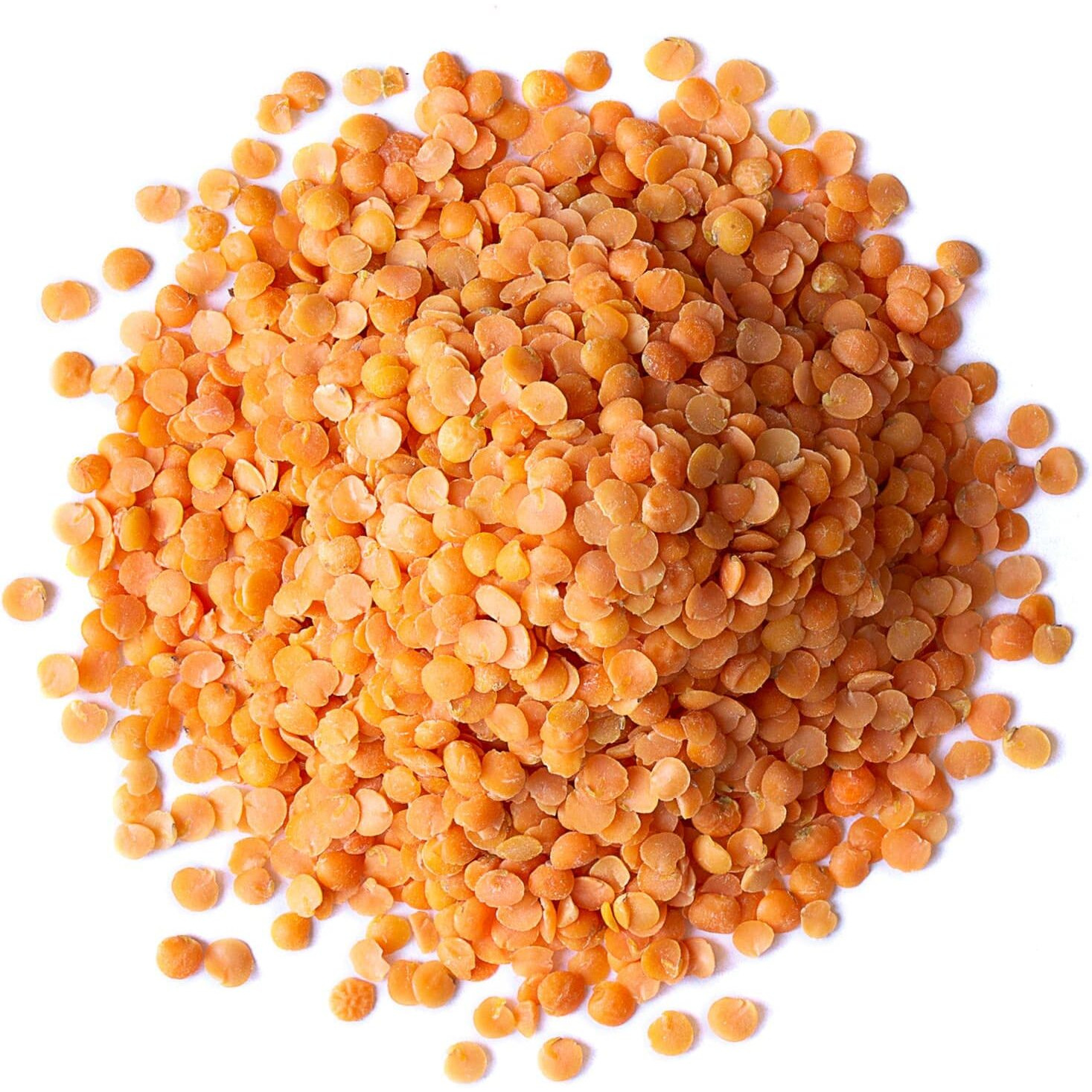 Food To Live Red Split Lentils, 10 - Pounds Masoor Dal, Dried, Vegan, Kosher, Bulk. Easy To Cook. No Soaking Required. Good Source Of Dietary Fiber, Vitamin B, Protein.