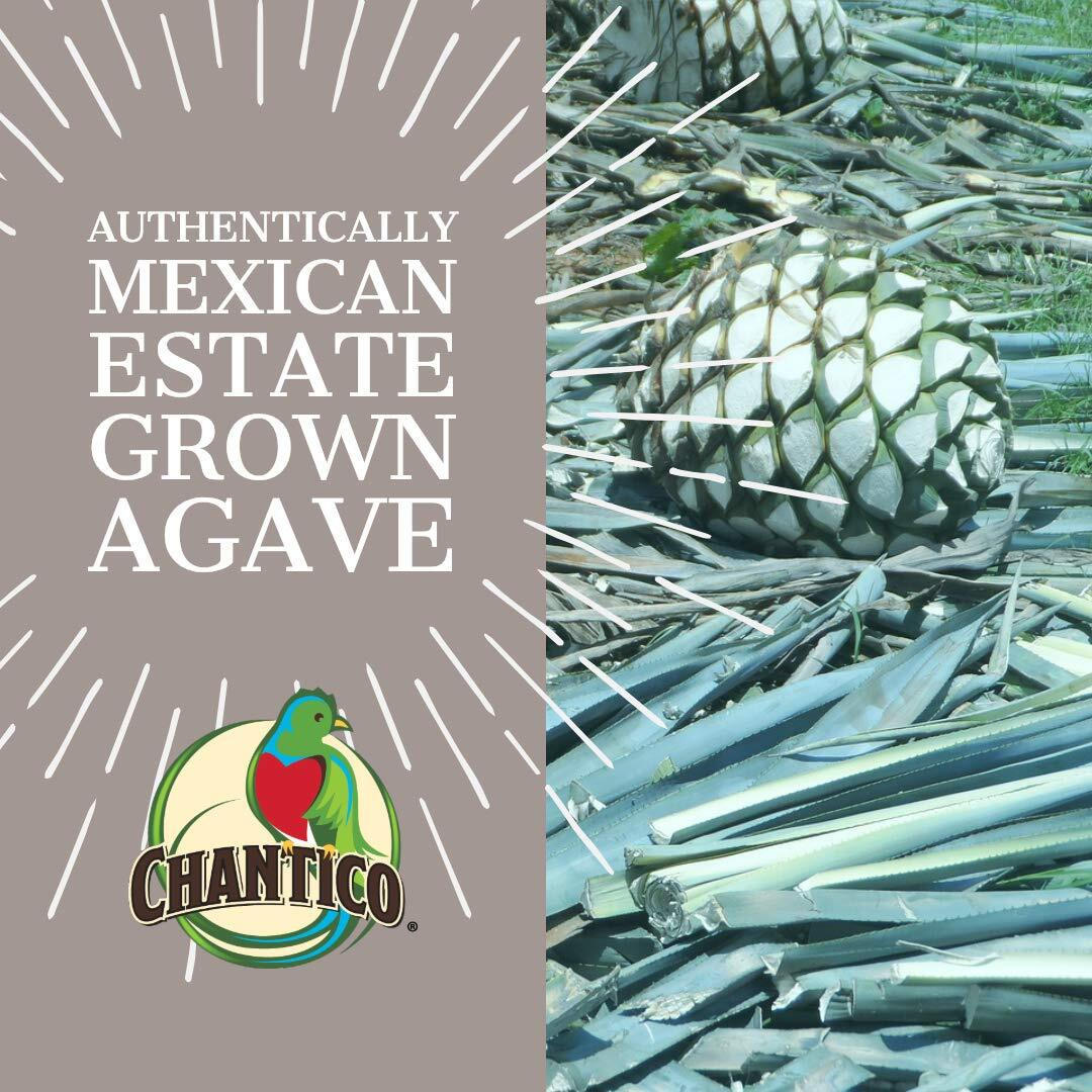 Chantico Sweet Granulated Agave Powder (Powder, 1 250G Bag)