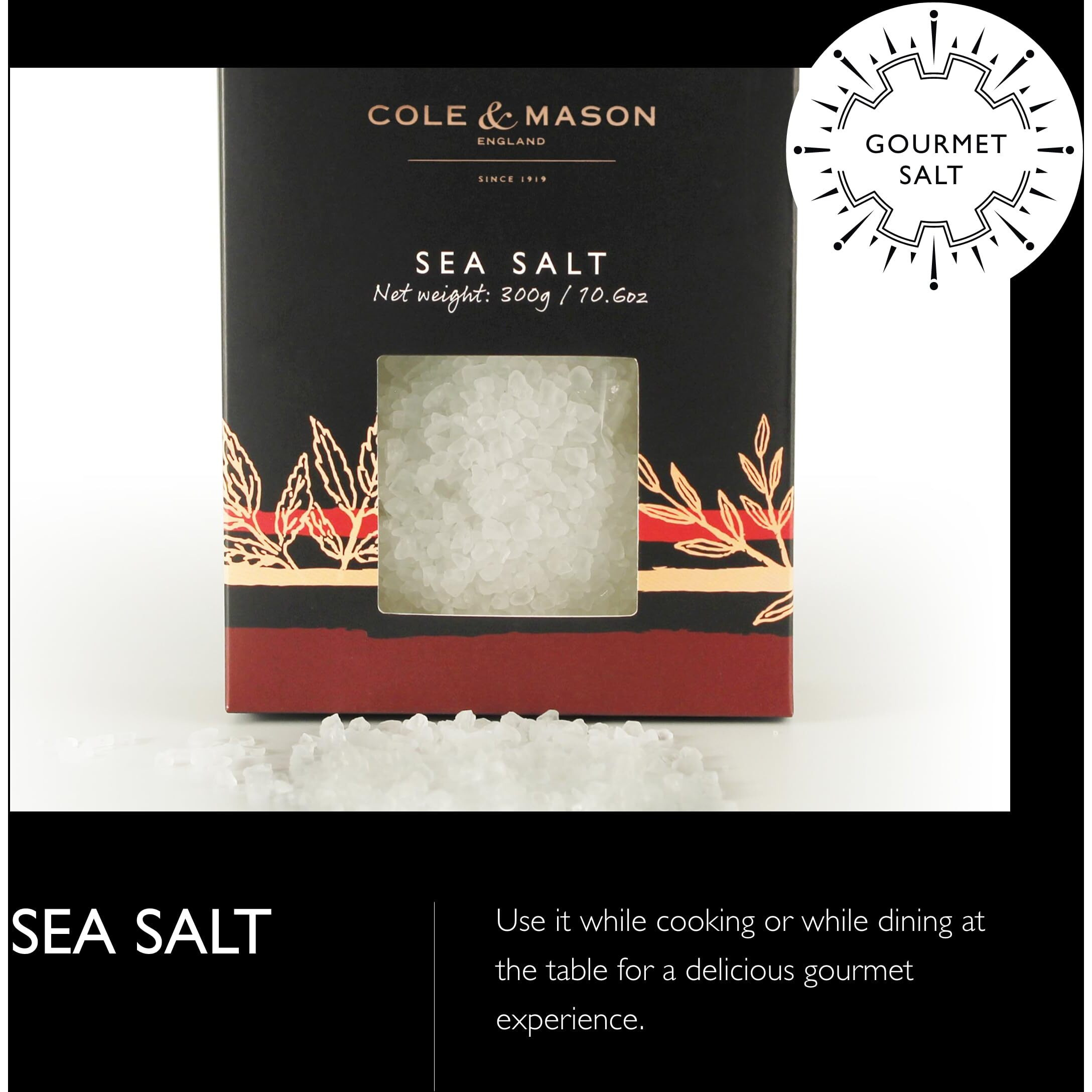 Cole & Mason Gourmet Spice Refill Box - Pairs Well With Chicken, Beef, Pork & More - Salt & Peppercorn Refill For Salt & Pepper Mill Grinder - Sea Salt & Black Pepper 15.9 Oz Box Set
