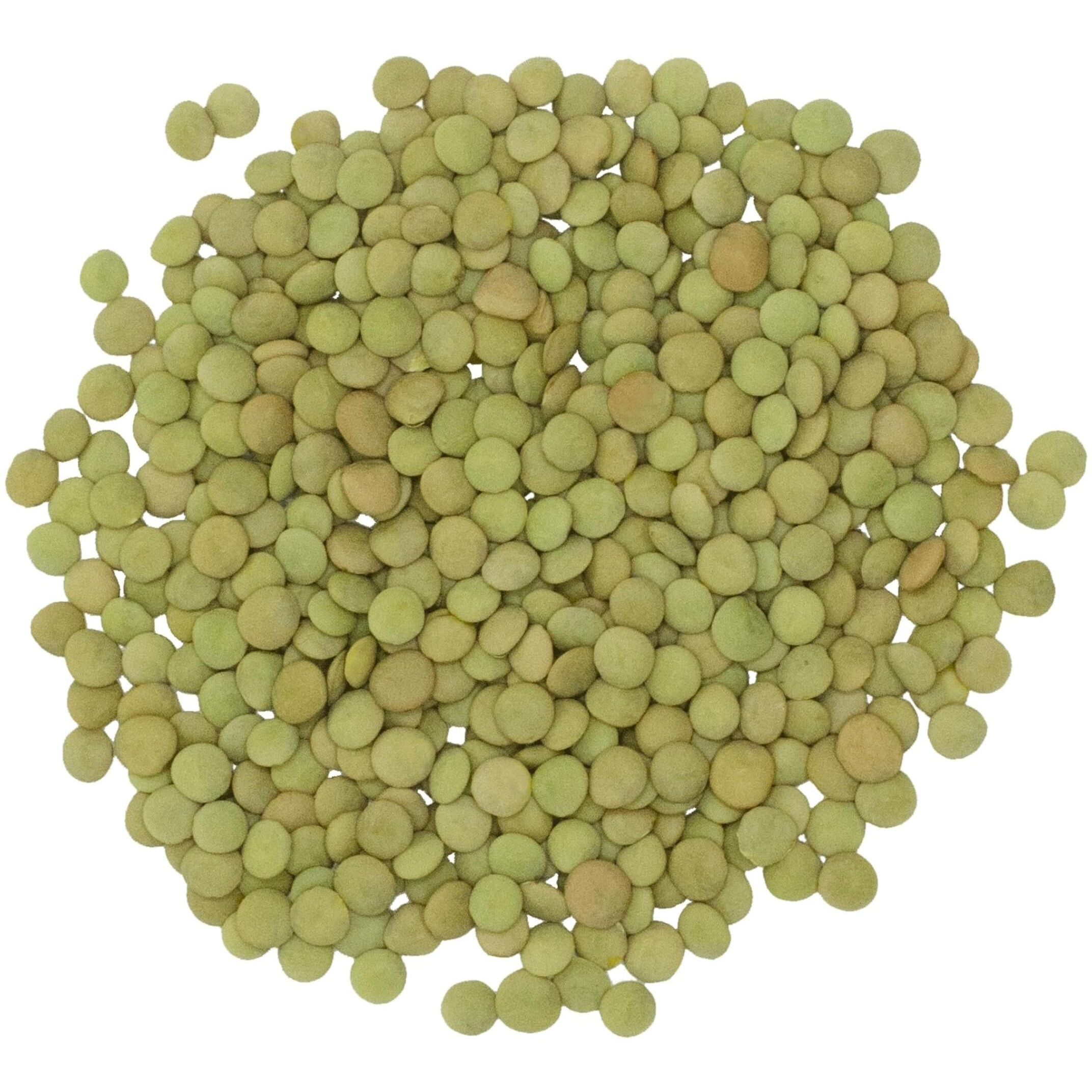 Grown In Montana Green Lentils | 25 Lbs | Non-Gmo | Kosher | Vegan | Non-Irradiated