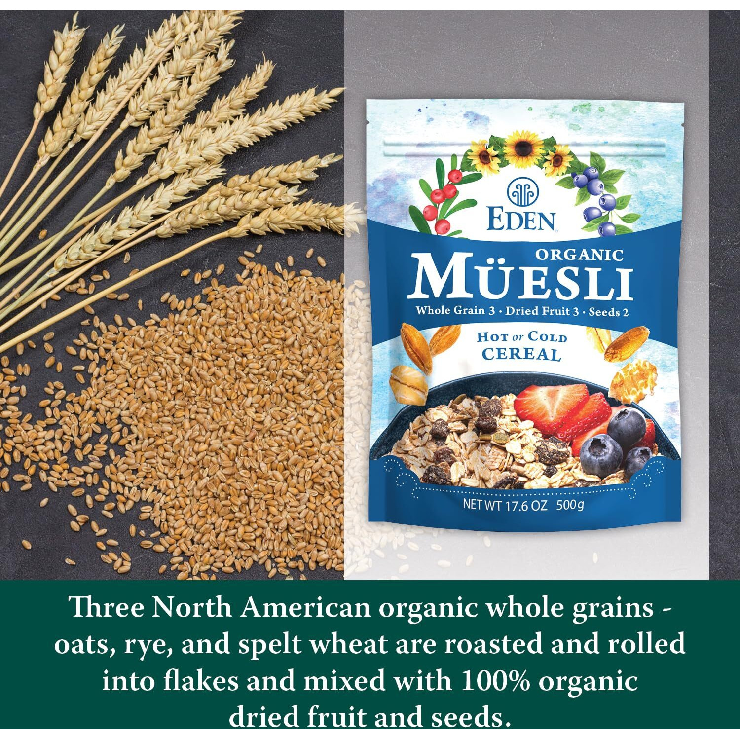 Eden Organic Muesli Cereal, Eat Hot Or Cold, Oat, Rye, Wheat, And Spelt Flakes, Raisins, Cranberries, Wild Blueberries, Pumpkin And Sunflower Seeds, Overnight Oats, No Added Sugars, 17.6 Oz