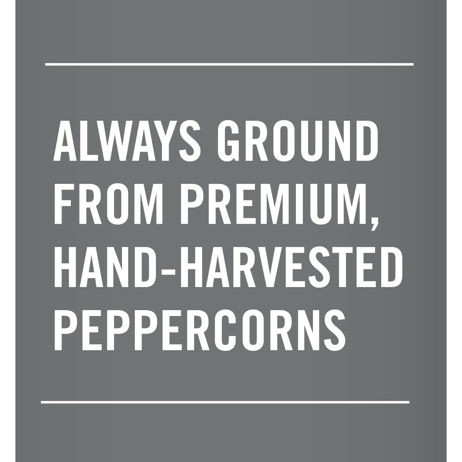 Mccormick Table Grind Black Pepper, 16 Oz