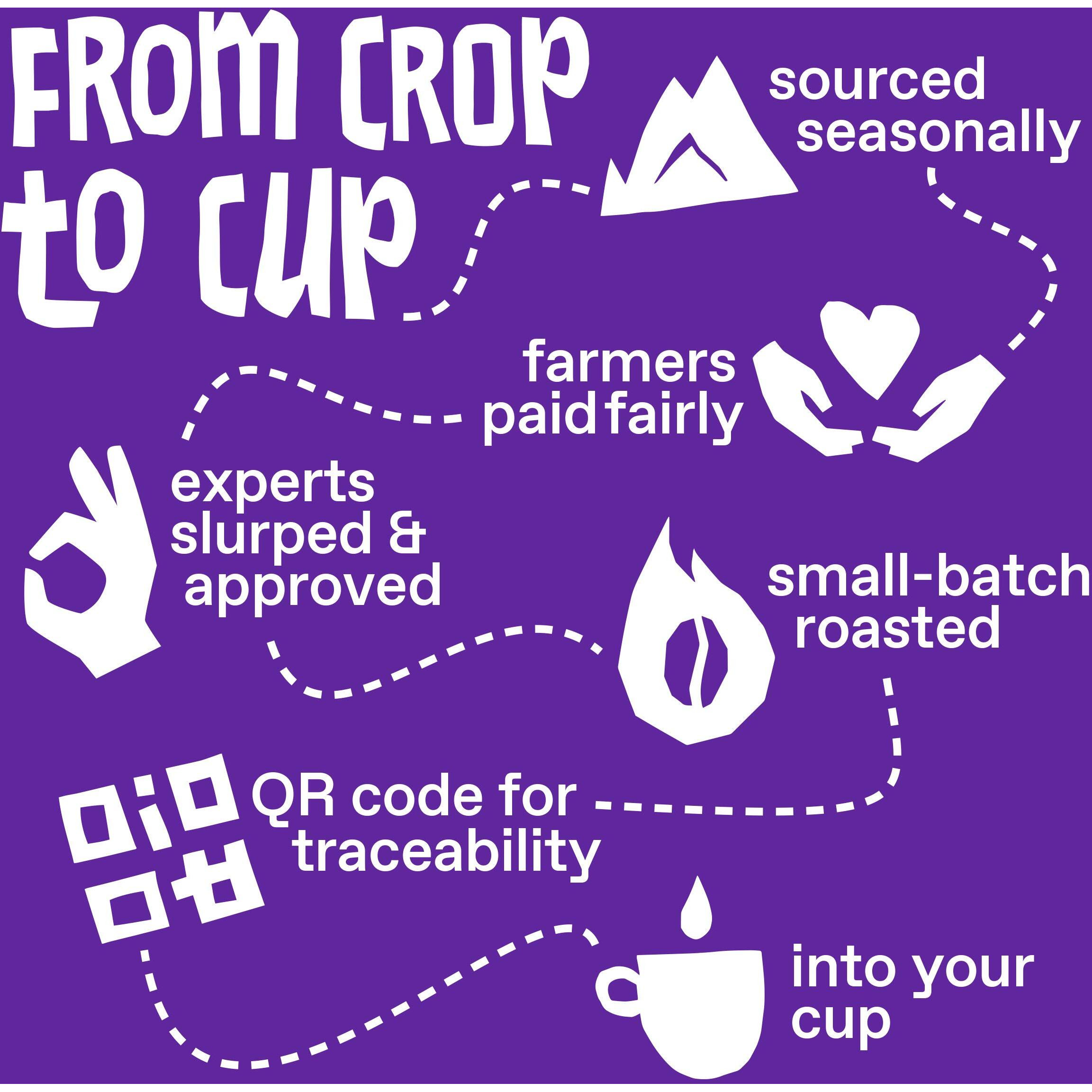 Ethical Bean Fairtrade Organic Coffee, Lush Medium Dark Roast, Ground Coffee Beans- 100% Arabica Coffee (8 Oz Bag), 0.5 Pound (Pack Of 1)