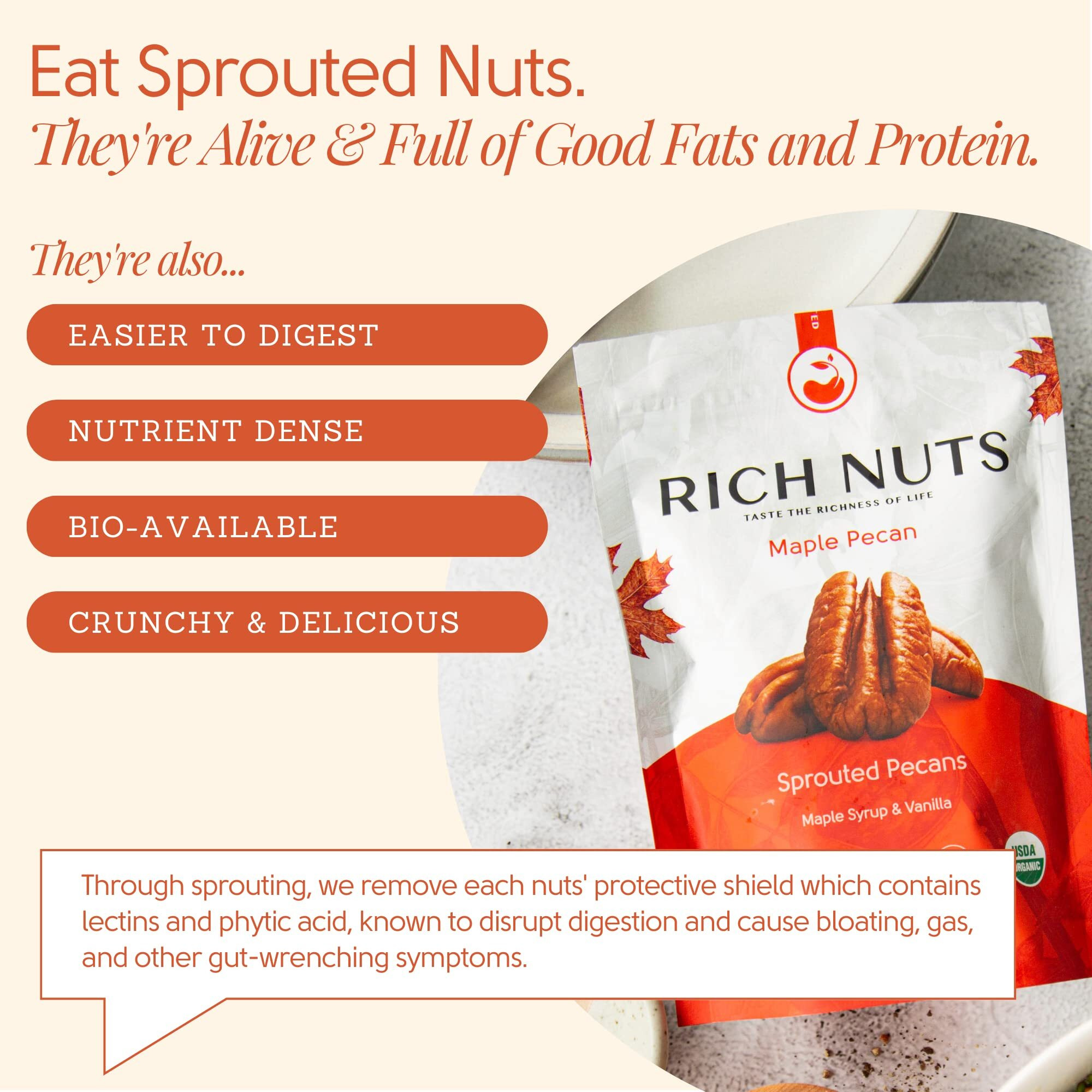 Rich Nuts Maple Pecan Gourmet Sprouted Pecans | Vegan, Paleo, Keto | Made With Maple Syrup, Vanilla Extract And Sea Salt | Non-Roasted From Dehyrdated Germinated Raw, Whole Pecans | 4 Oz Bag (2 Pack)