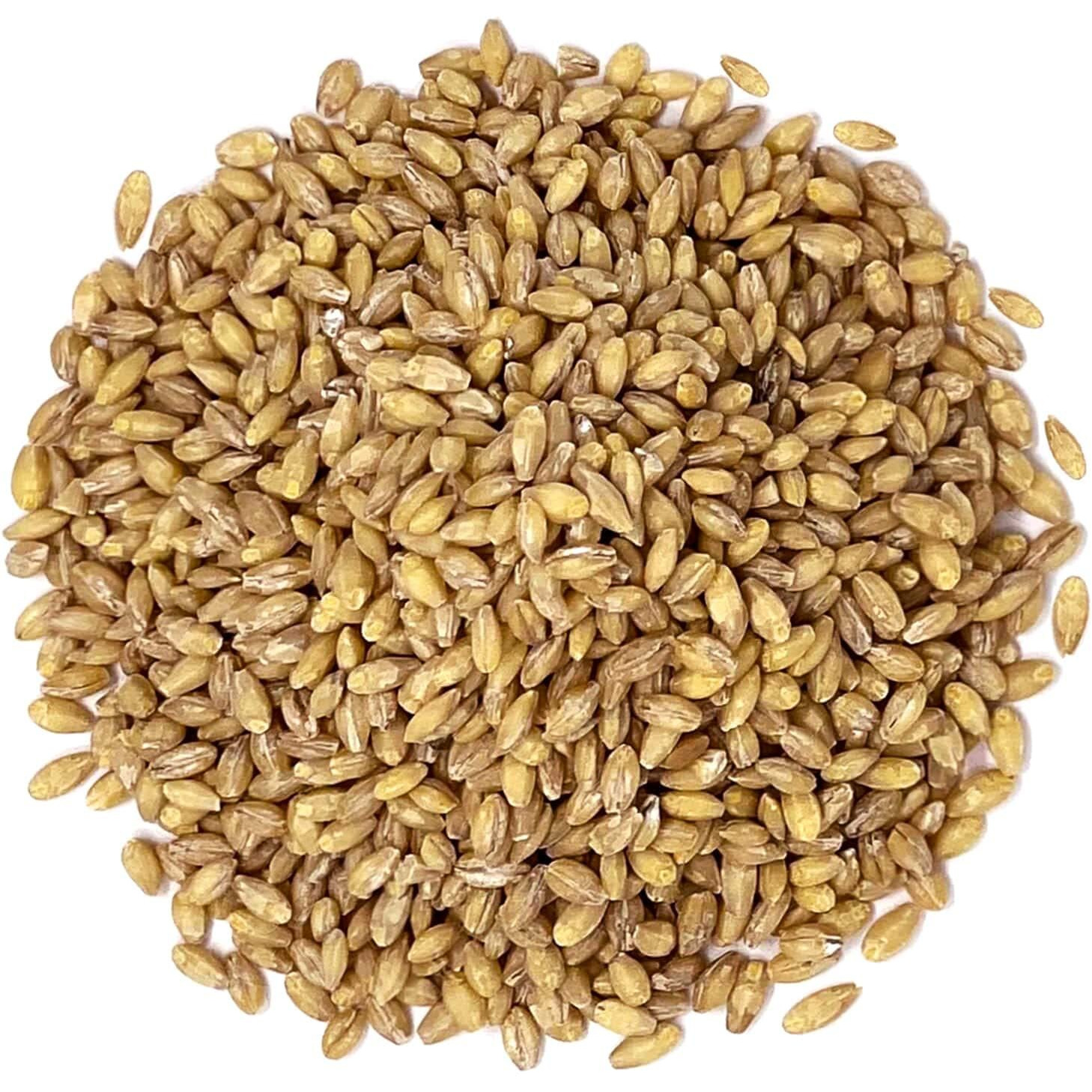 Food To Live Hulled Barley Grain, 6 Pounds - 100% Whole Grain, Vegan, Great For Home Baking, Brewing, Grinding. Rich In Selenium, Fiber. Perfect For Chili, Hot Cereal, Soup. Bulk Seeds. Made In Usa