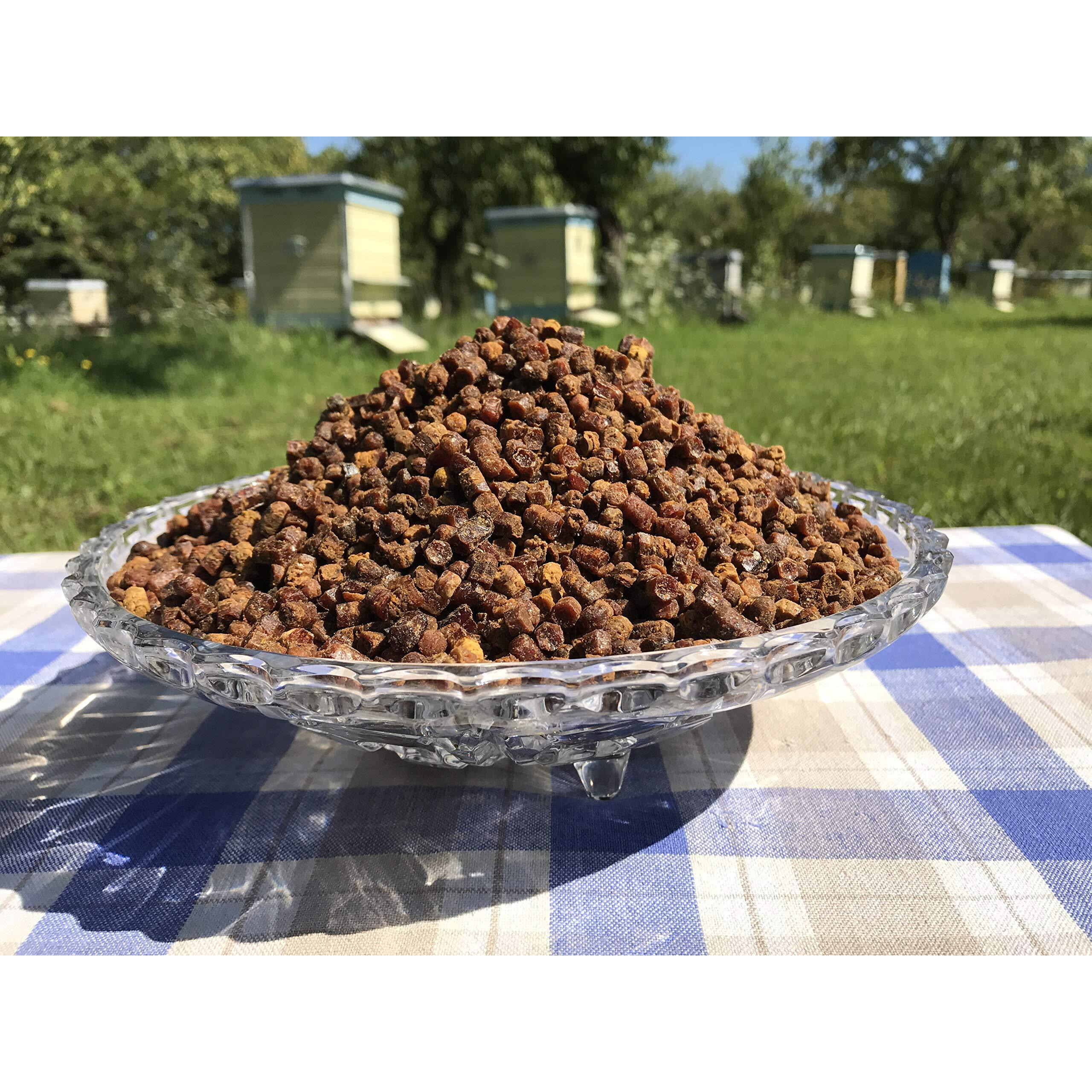 Fresh Organic Bee Bread, Naturally Fermented Pollen, Perga, 1 Pound, 460G., 2021 Harvest