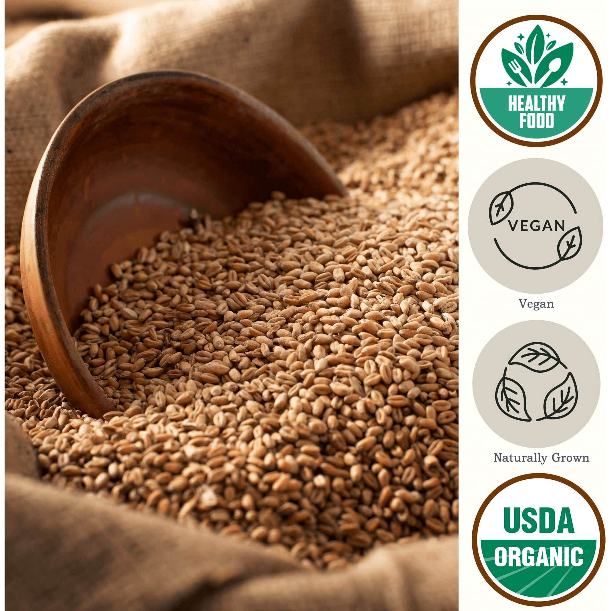 Be Still Farms Spelt Farro Grain Organic 5.8 Lb - Whole Wheat Berries Bulk - Ancient Grains Ideal For Flour, Bread - High In Protein | Similar To Einkorn | Usa Grown | Usda Certified | Vegan | Non-Gmo