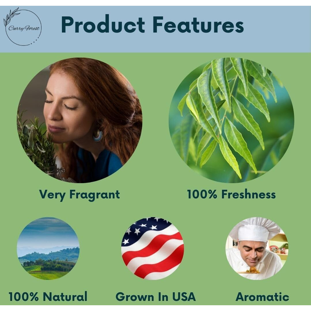 Fresh Organic Curry Leaves, 100% Natural, Grown In Phoenix, Usa, Pesticide-Free, 3.5 Oz (100G), 25-30 Stems