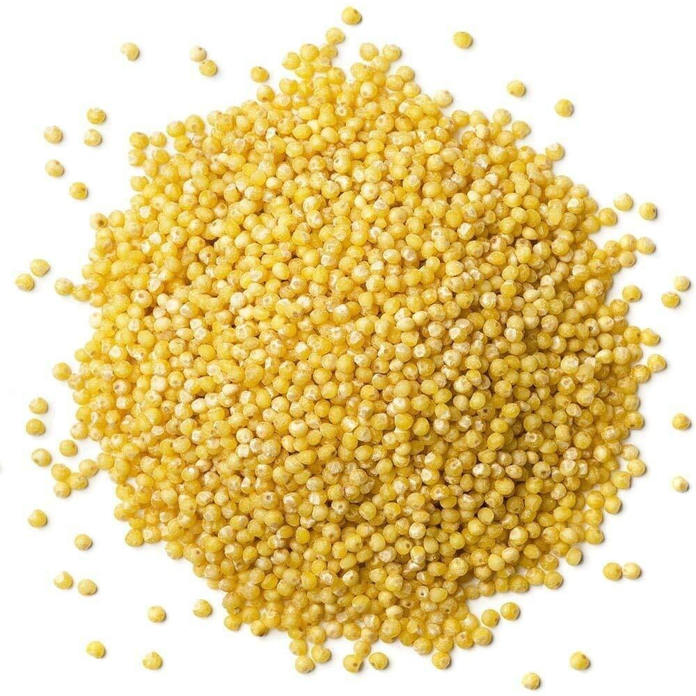 Food To Live Organic Hulled Millet, 15 Pounds - Whole Grain Seeds, Non-Gmo, Kosher, Raw, Bulk, Product Of The Usa
