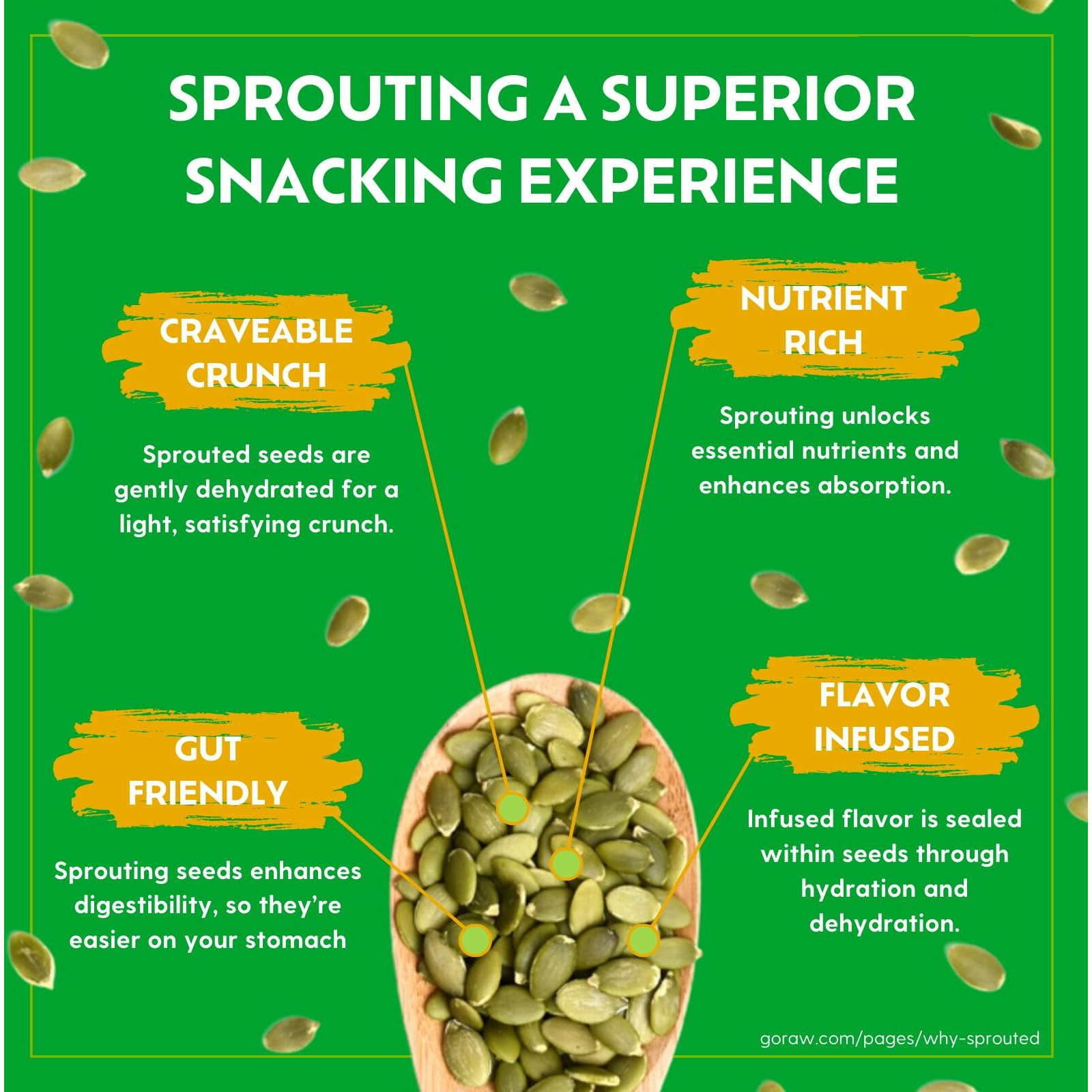 Go Raw Organic Sprouted Sea Salt Sprouted Snacking Seeds, 4 Oz, 6 Pack, Pumpkin & Sunflower Seeds, Keto, Kosher