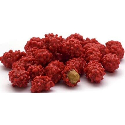 Red French Burnt Peanut Old Fashioned Hard Candy Coated Roasted Peanuts (1 Pound)