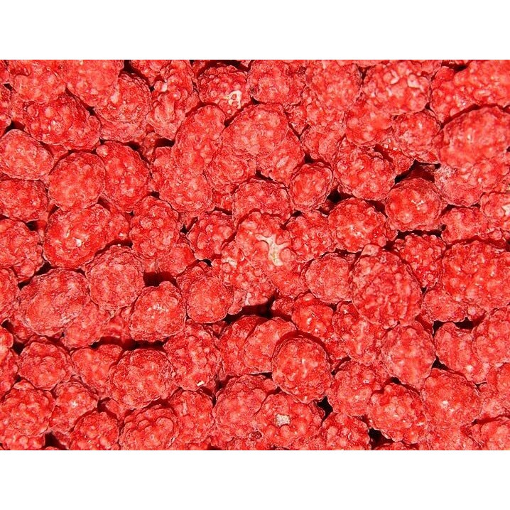 Red French Burnt Peanut Old Fashioned Hard Candy Coated Roasted Peanuts (1 Pound)