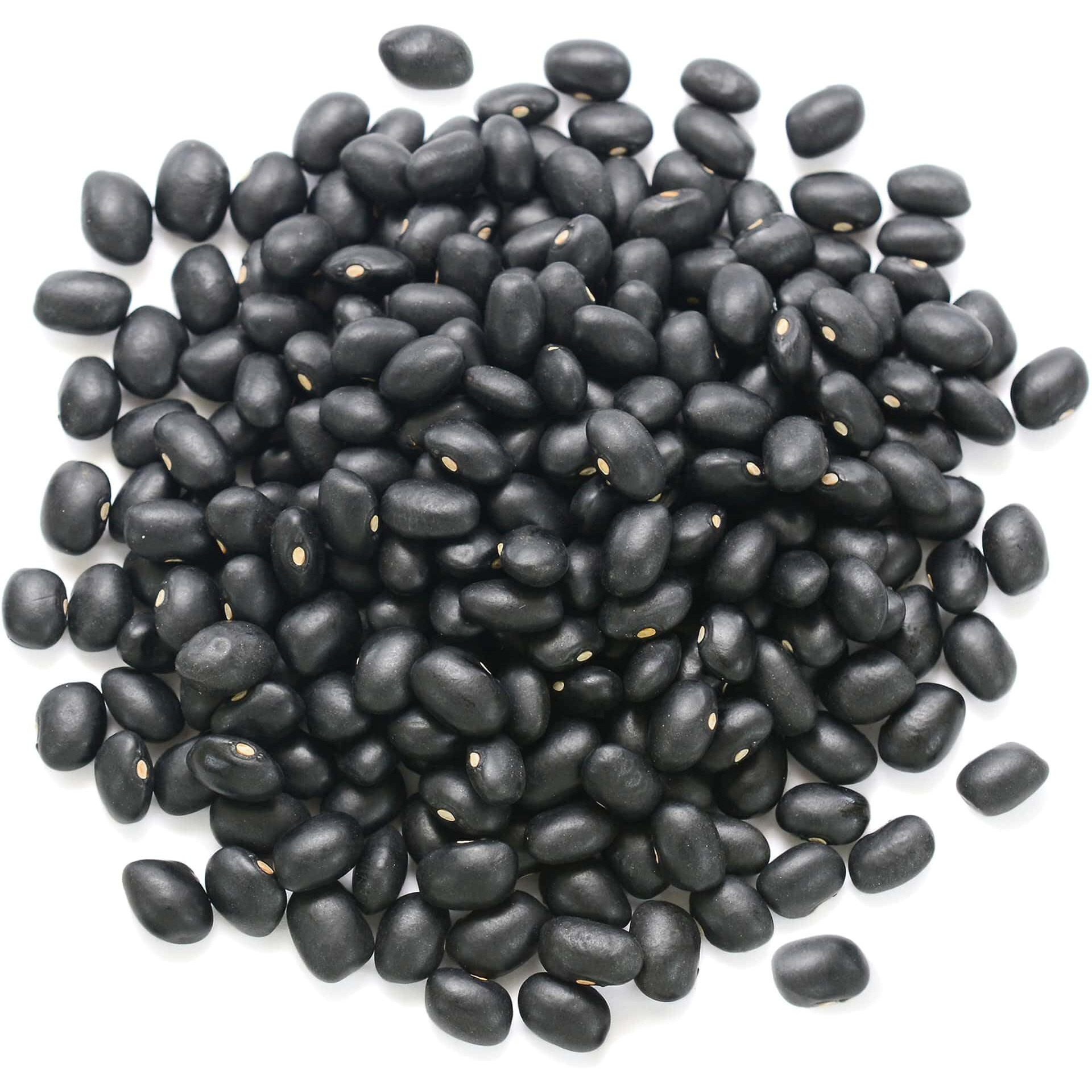 Food To Live - Organic Black Beans, 25 Pounds Non-Gmo, Whole Dried Beans, Sproutable, Vegan, Kosher, Bulk. Great Source Of Plant Based Protein, Fiber. Great For Bean Soup, Salads, Chili.