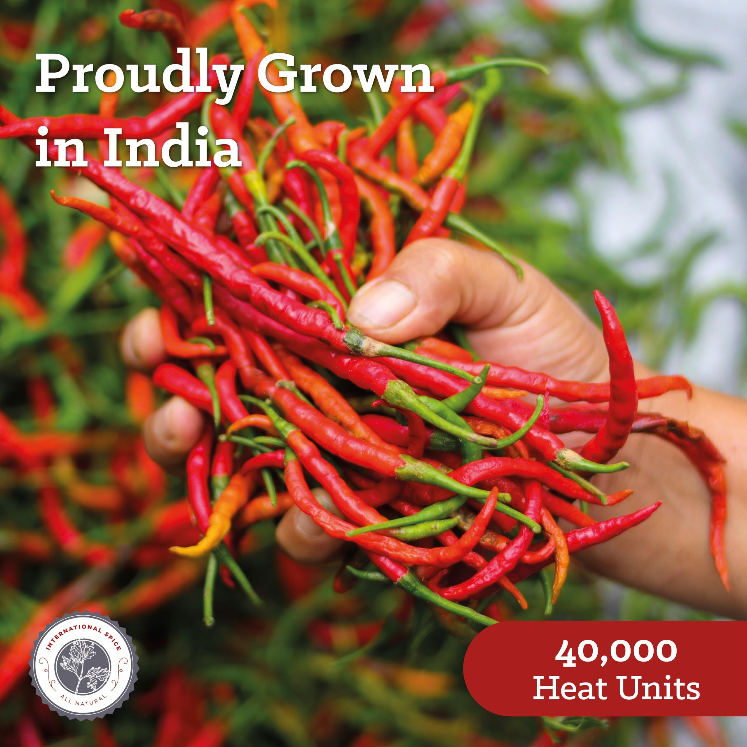 Cayenne Pepper By International Spice, Red Cayenne Pepper Seasoning Powder, Essential Gourmet Kitchen Spice, Bulk, 3 Lb. Bag