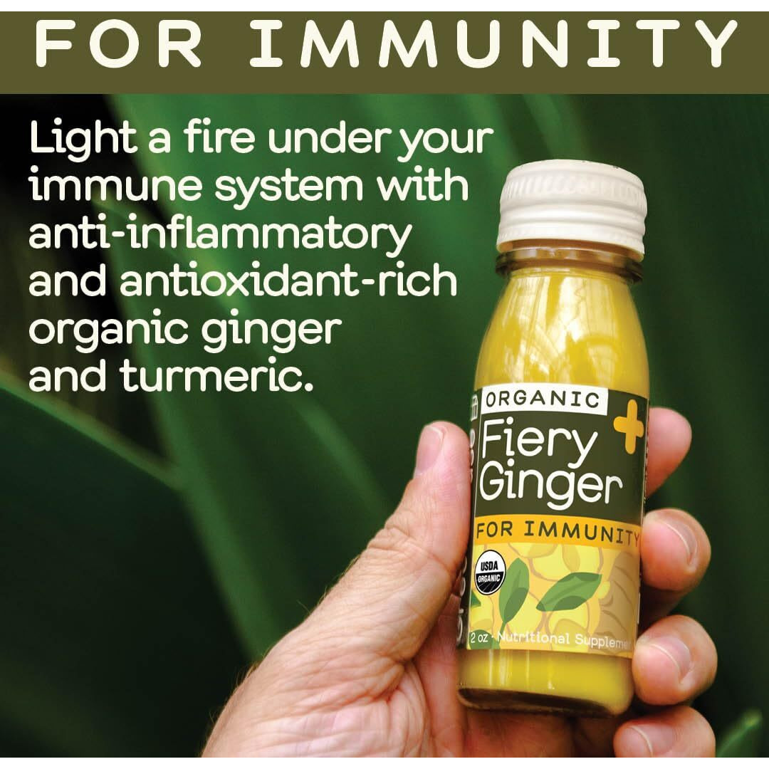 Greenhouse Juice Organic Fiery Ginger Wellness Shots 24-Count 60Ml Glass Bottles | Vegan & Gluten-Free