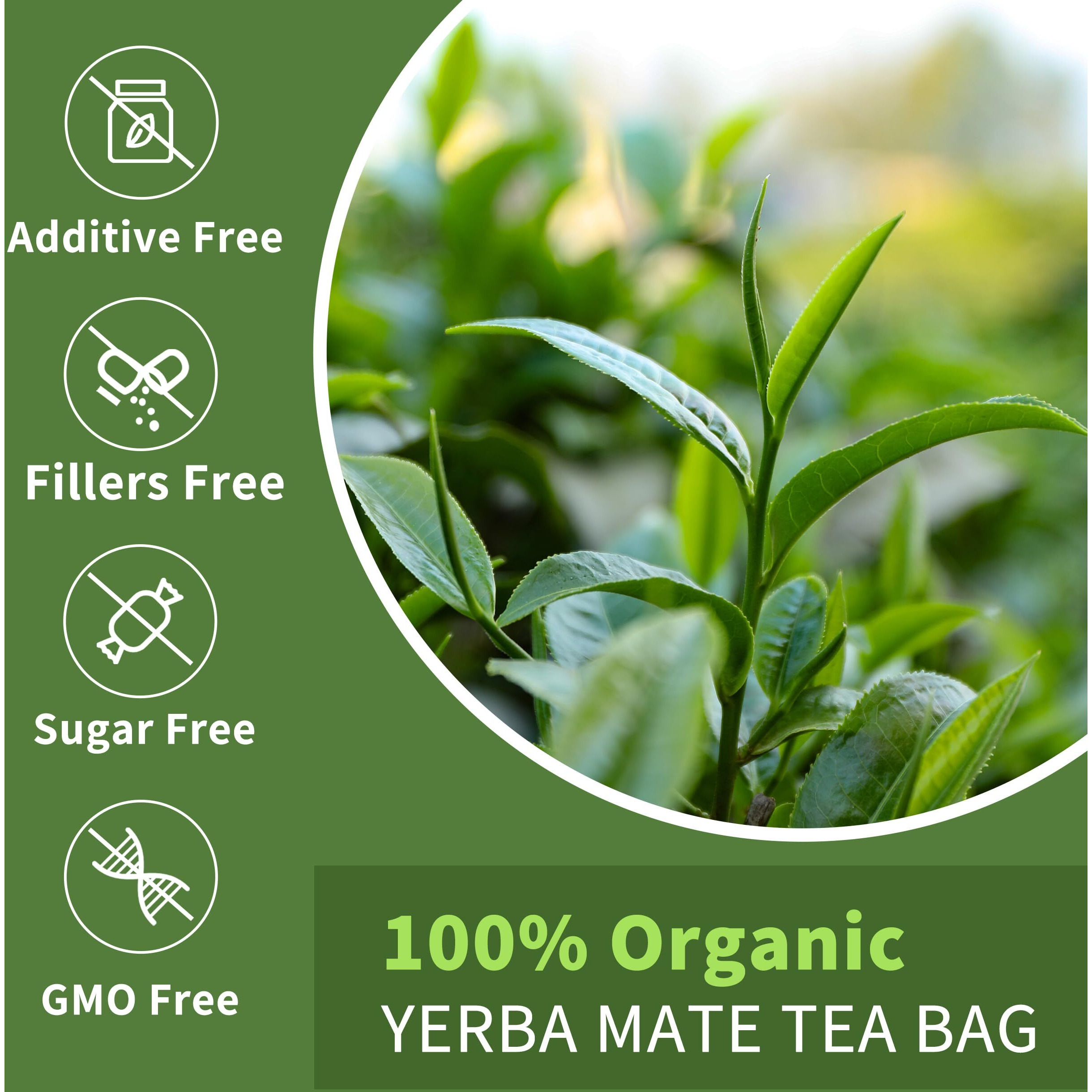 Yerba Mate Tea Bags With 50 Count - Supports Cardiovascular & Digestive Systems, Keep Youth.