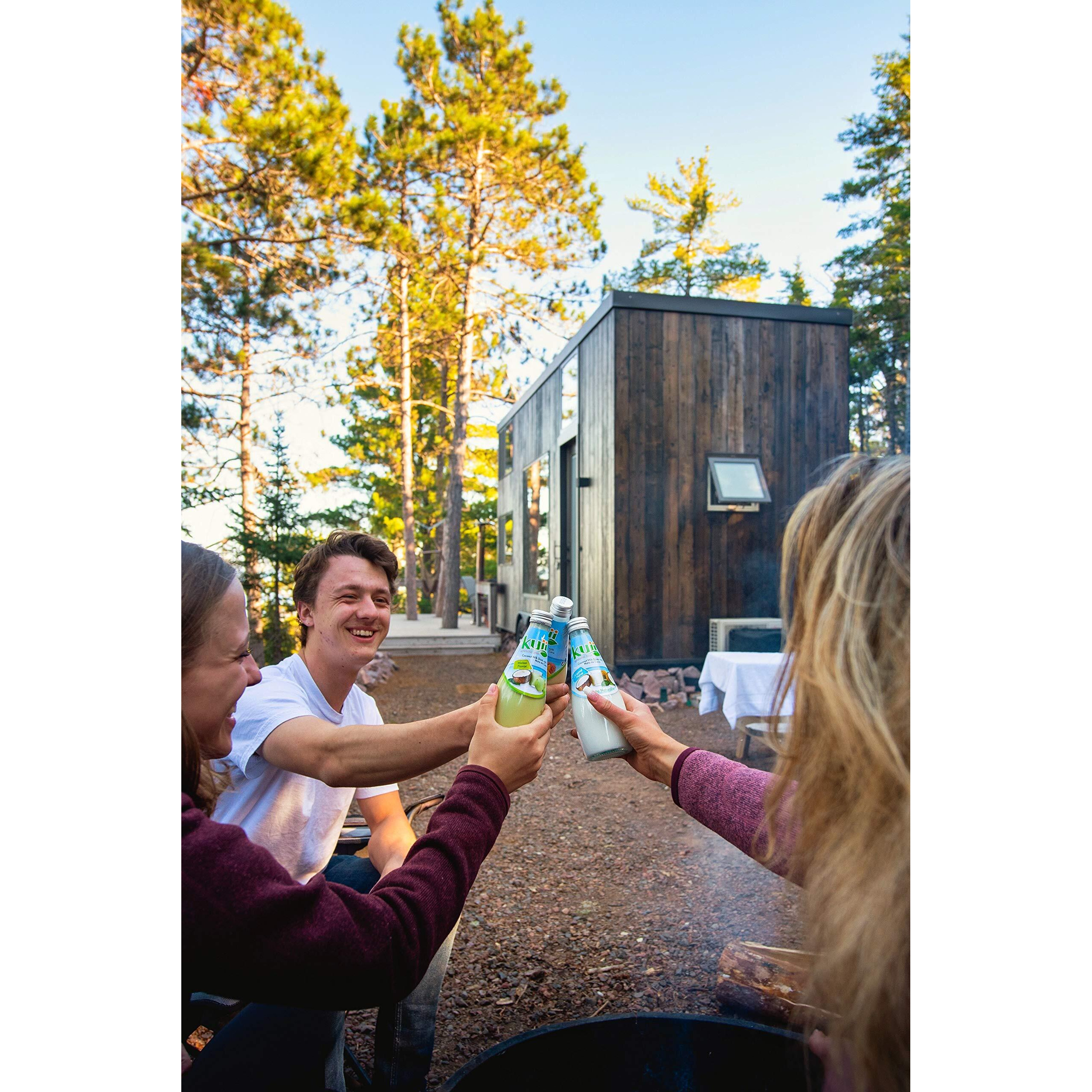 Coconut Milk Drink Original (Strawberry) 9.8Fl Oz (Pack Of 12)