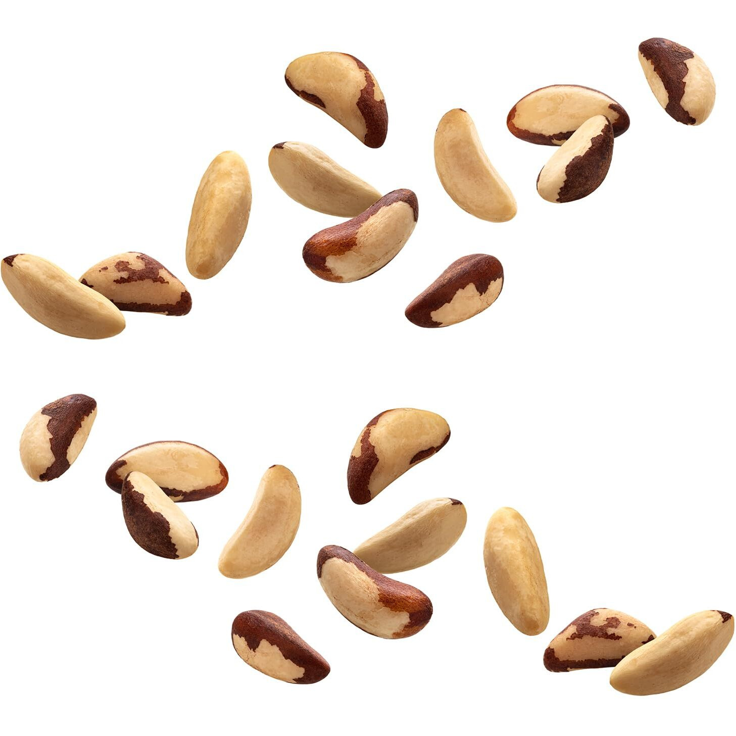 Fruidles Raw Brazil Nuts, Non-Gmo, Gluten-Free, Healthy Fat, Emergancy Food, Survival Food (2 Pounds)