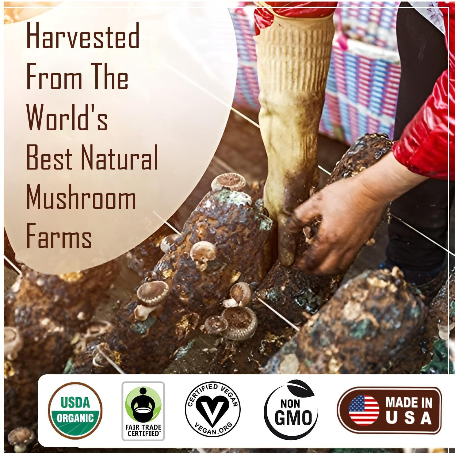 La Republica Coffee (70 Servings, Classic 2-Pack)