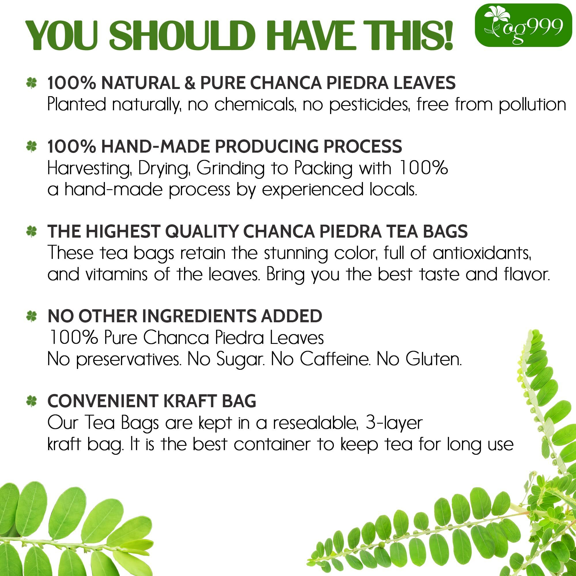 Tog999, 120 Tea Bags Dried Chanca Piedra Leaves, Chanca Piedra Tea Stone Breaker    100% Natural & Pure. Made With Natural Material Tea Bags. No Sugar, No Caffeine, No Gluten, Vegan.