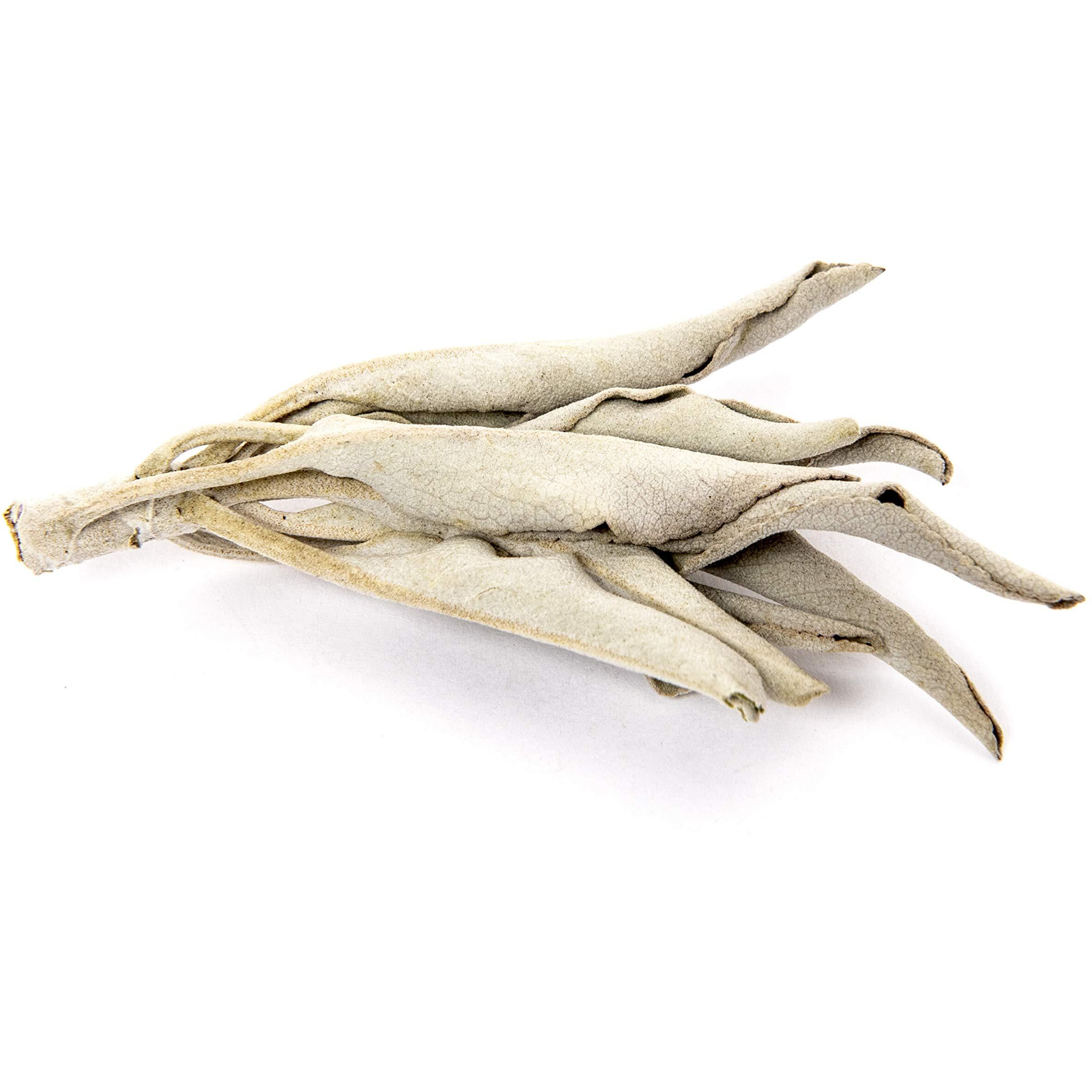 Juniper Ridge | White Sage Loose Leaves | Salvia Apiana Clusters | Dry Burning White Sage |  Lb Bag