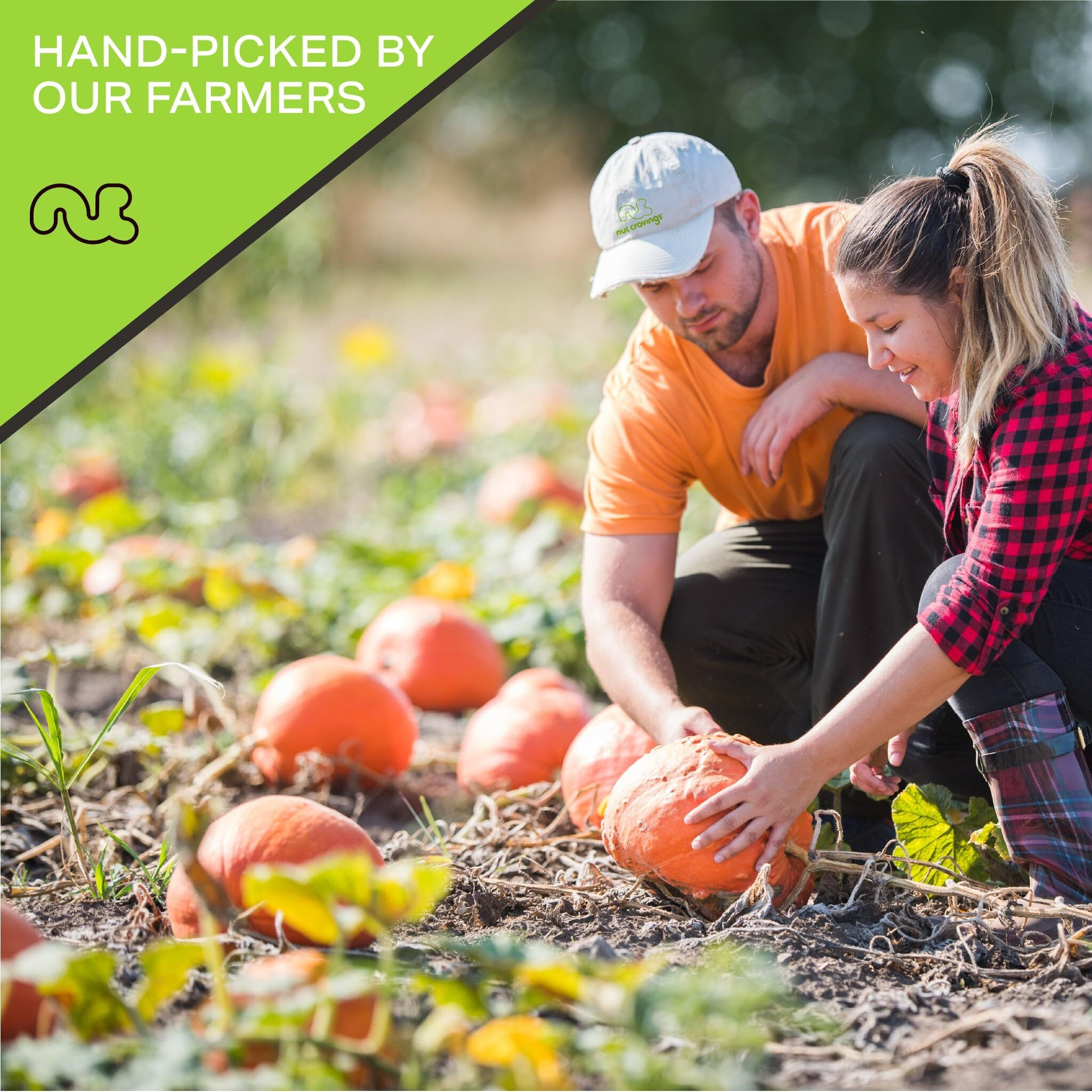 Nut Cravings - Raw Pumpkin Seeds Pepitas, Unsalted, Shelled, (32Oz - 2 Lb) Bulk Nuts Packed Fresh In Resealable Bag - Kosher Healthy Snack, Natural Keto Vegan - Ideal For Trail Mixed Nuts