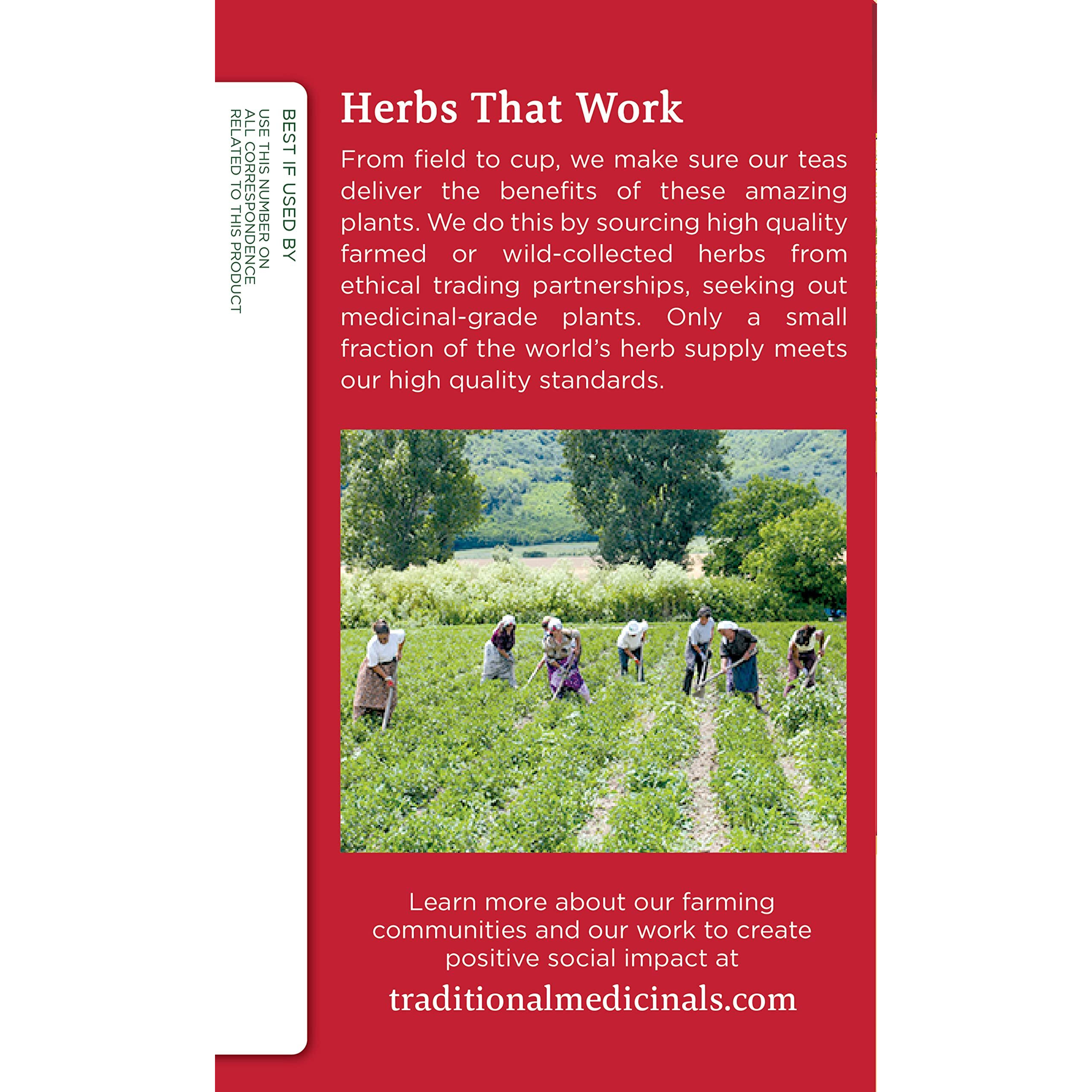Traditional Medicinals Tea, Organic Herbal Cold Care, Providing Soothing Comfort, 16 Tea Bags