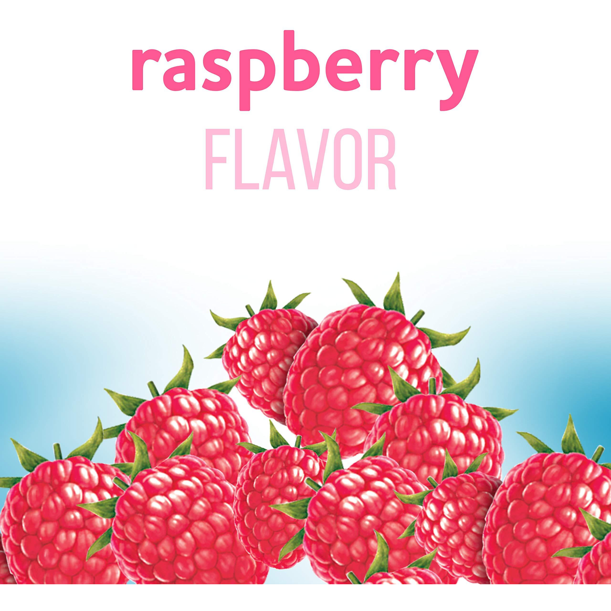 Jell-O Raspberry Sugar Free Gelatin, 0.6 Ounce (Pack Of 24)