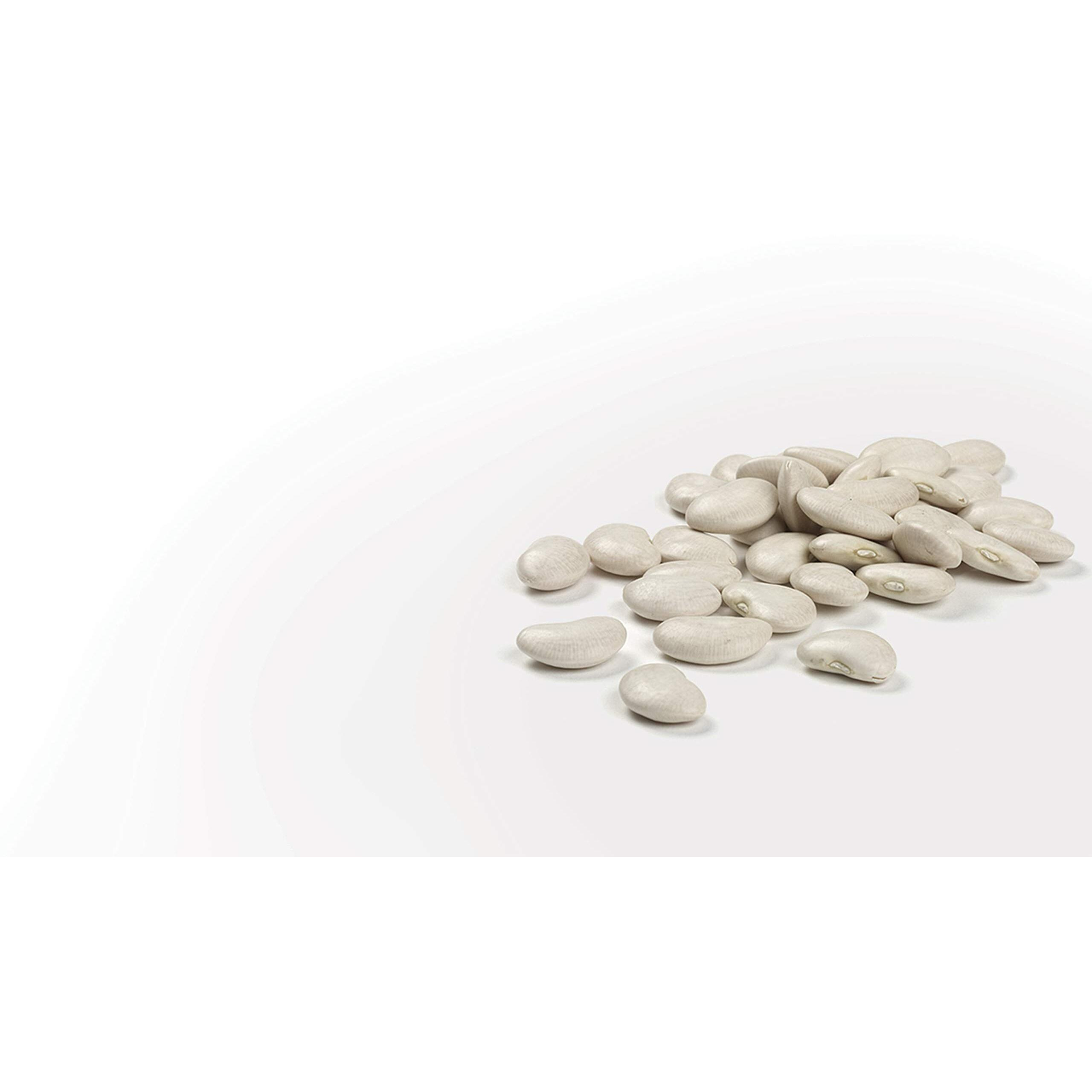 Camellia Brand Dried Cannellini Beans, 1 Pound (Pack Of 2)