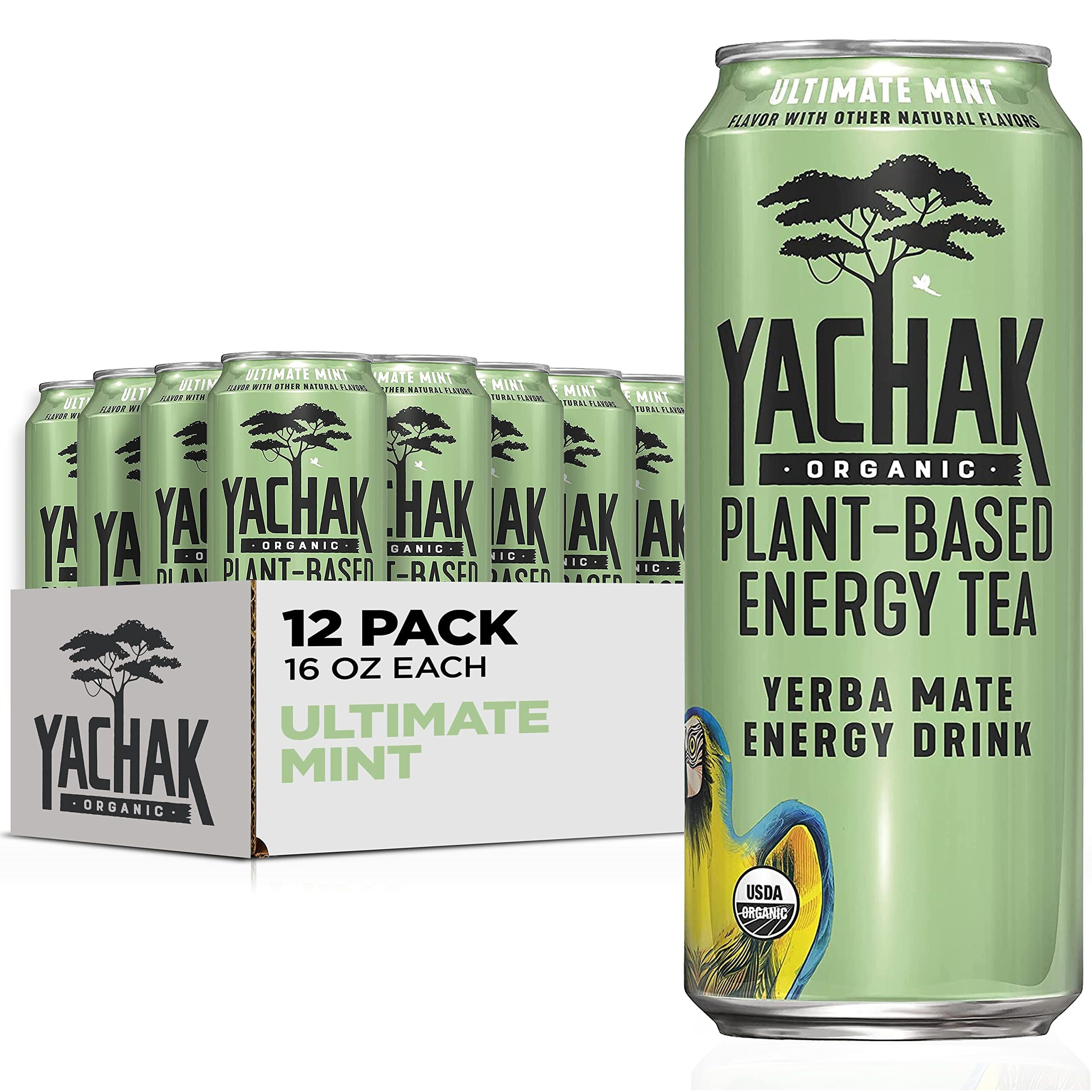 Yachak Yerba Mate Drink, Ultimate Mint, Packaging May Vary, 16 Fl Oz, Pack Of 12