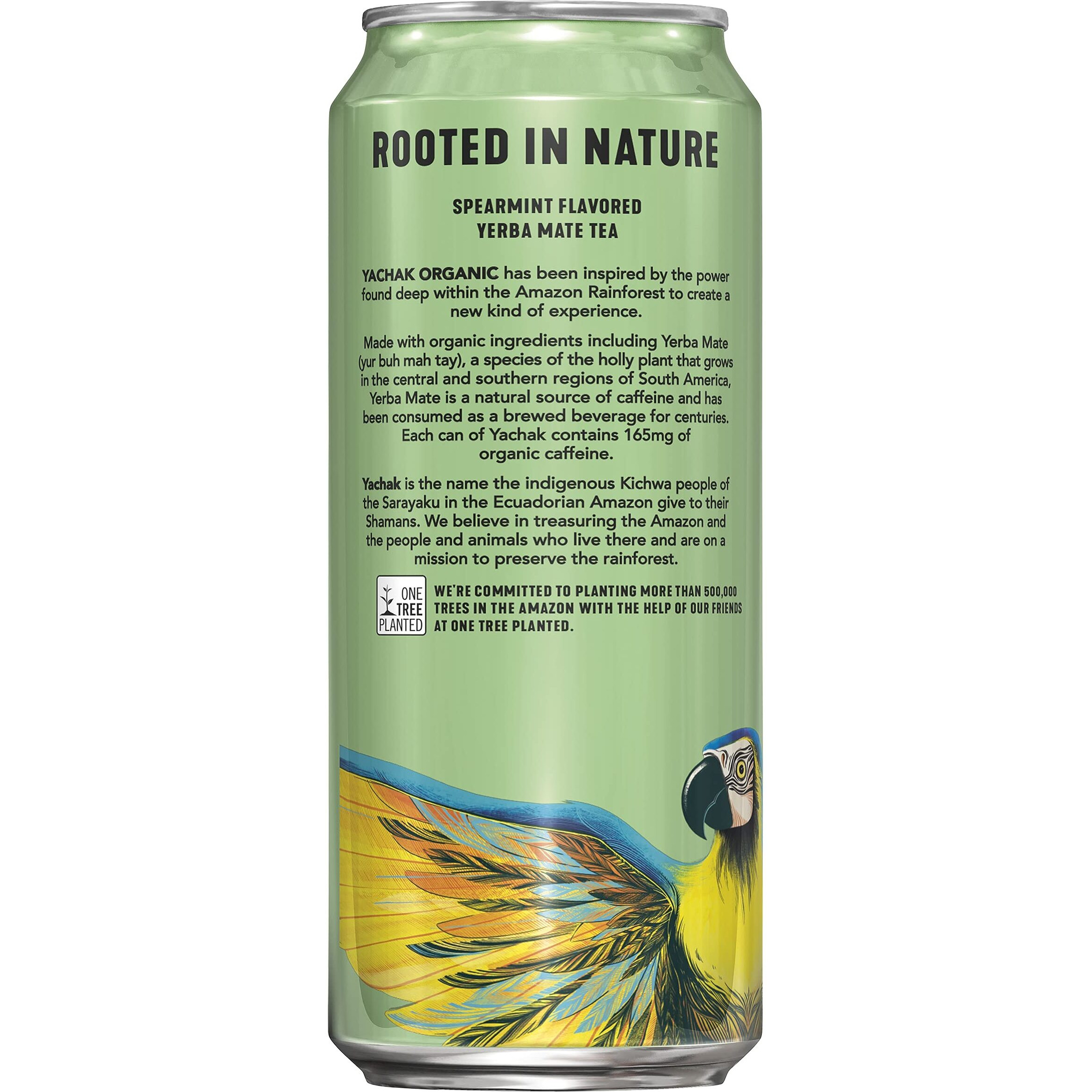 Yachak Yerba Mate Drink, Ultimate Mint, Packaging May Vary, 16 Fl Oz, Pack Of 12