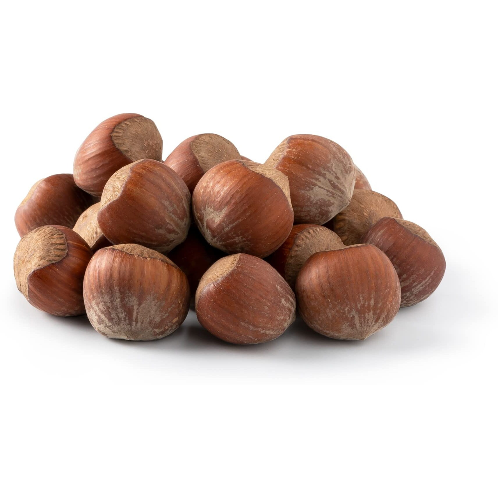 Nuts U.S. - Oregon Hazelnuts In Shell | Whole, Raw And Unsalted | No Added Flavor And Non-Gmo | Fresh Buttery Taste And Easy To Crack | Natural Unshelled Hazelnuts Packed In Resealable Bags (1 Lb)