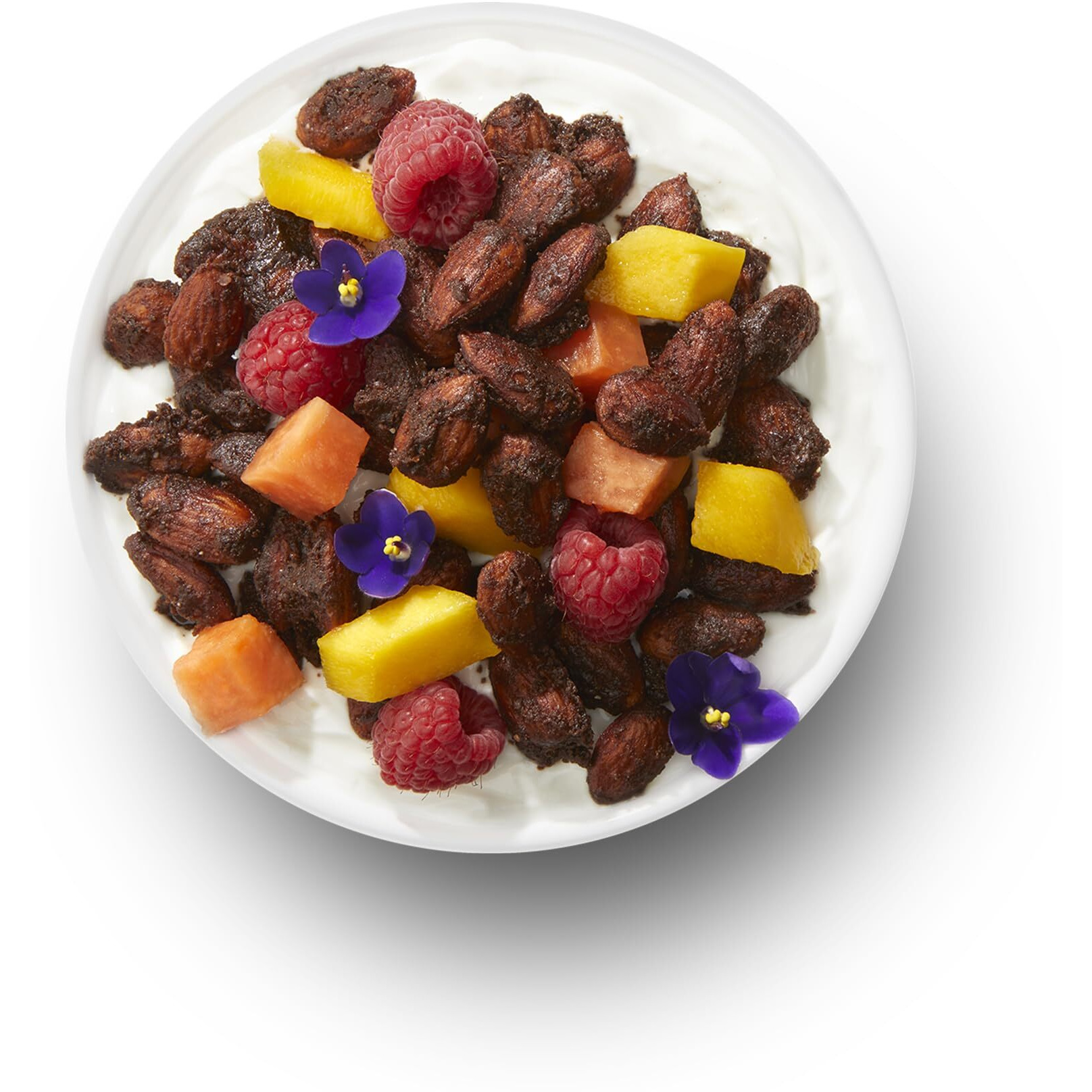 Tgb Chocolate Almonds | 1G Net Carb Keto Snack | Gluten Free Low Carb Candy Nuts, 10 Ounces
