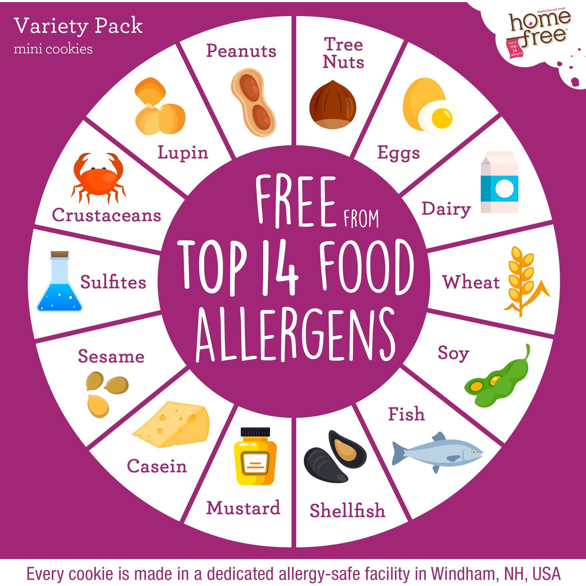 Homefree Treats - Vegan Cookies Variety Pack - Allergy Safe School Snacks - Peanut Free, Gluten Free, Egg Free, Dairy Free - Yummy Crunchy Cookie Assortment, Kosher Pareve (6 Count)
