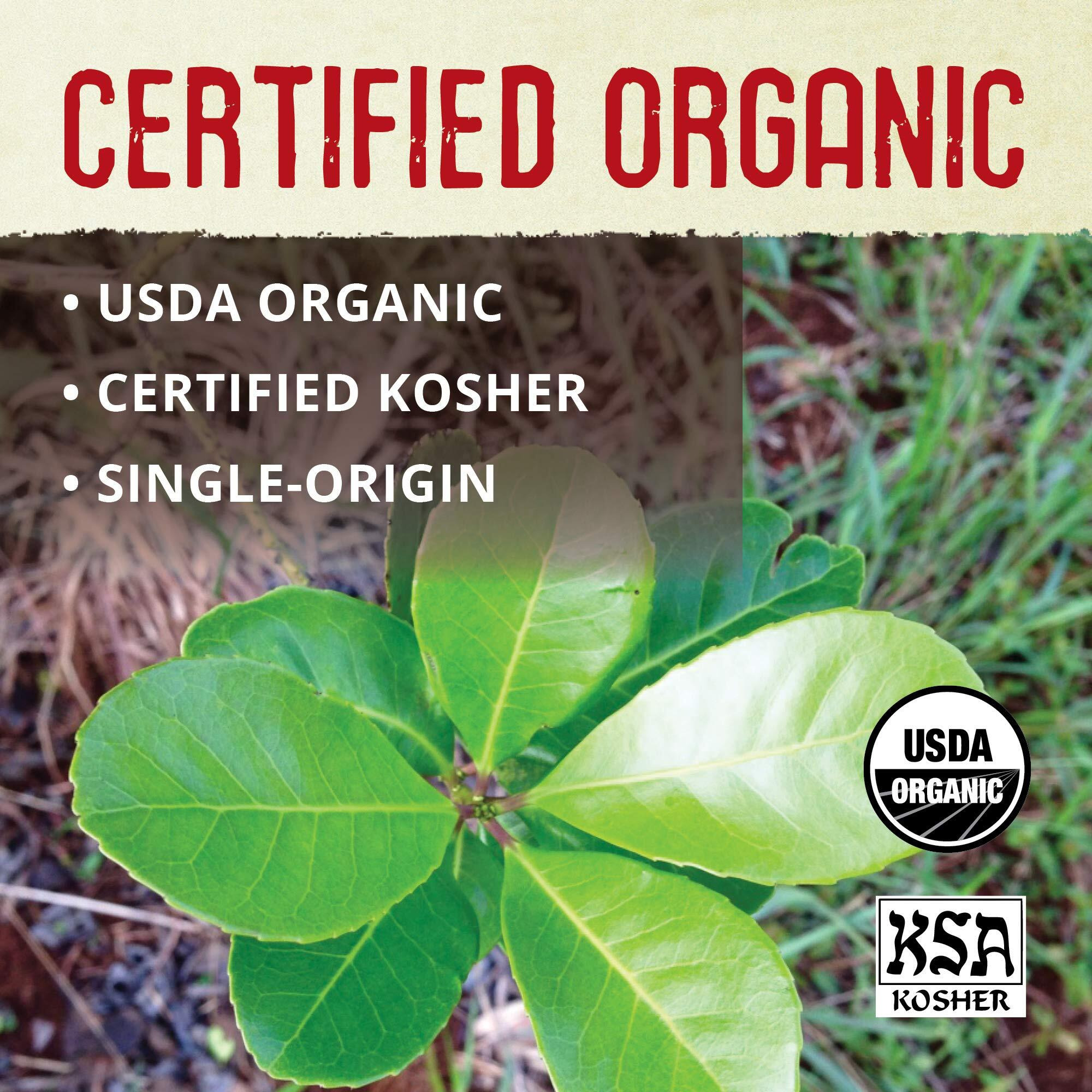 Ecoteas - Unsmoked Yerba Mate Tea Bags - Detox And Hi Caf Tea - Organic - 100 Tea Bags, 8.8 Oz