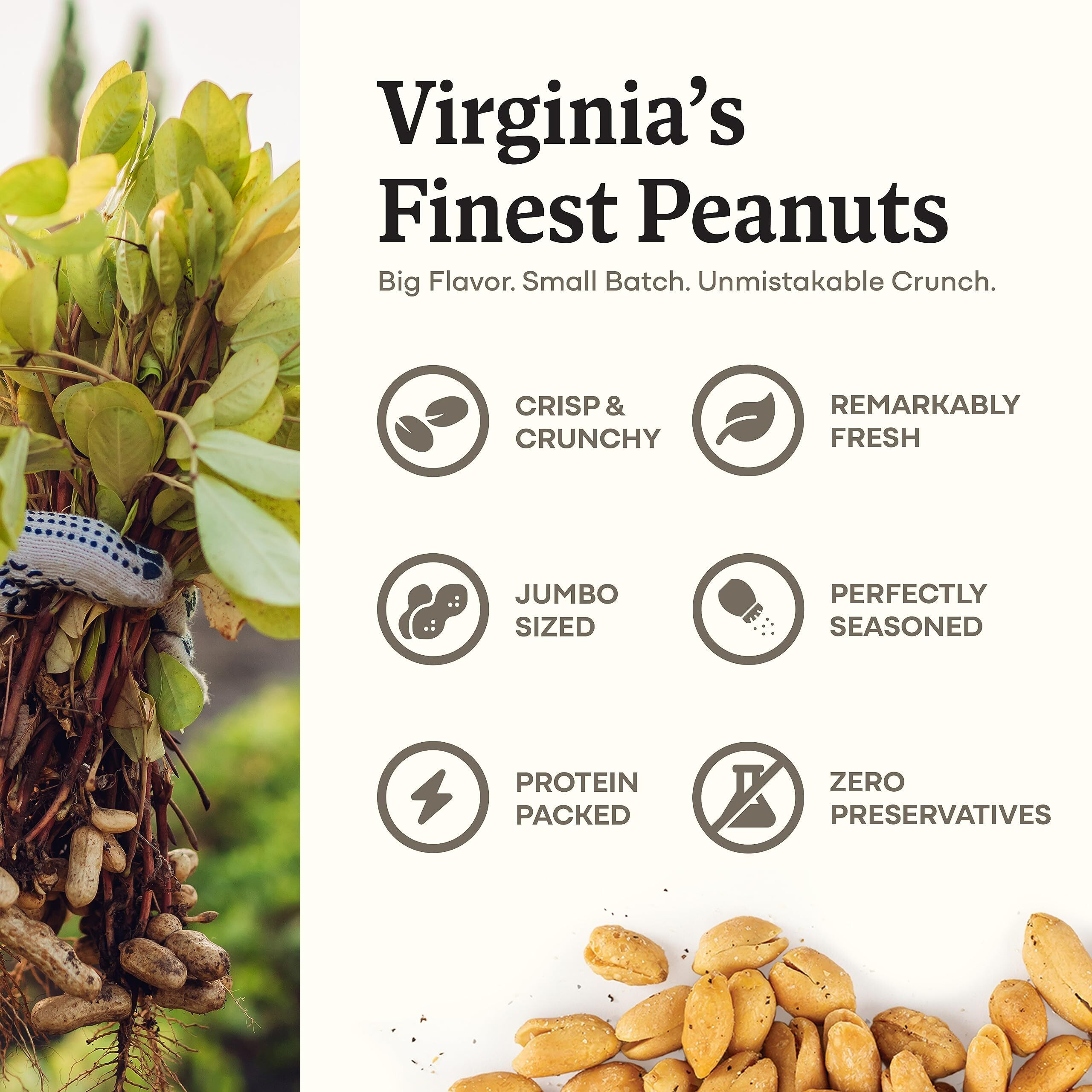 Belmont Peanuts Gourmet Sea Salt And Black Pepper Flavored Virginia Peanuts, 25 Oz (2 Pack) - Only 4 Simple Ingredients, No Preservatives, 7G Protein - Salty, Peppery, Crunchy, Hand Seasoned Snack