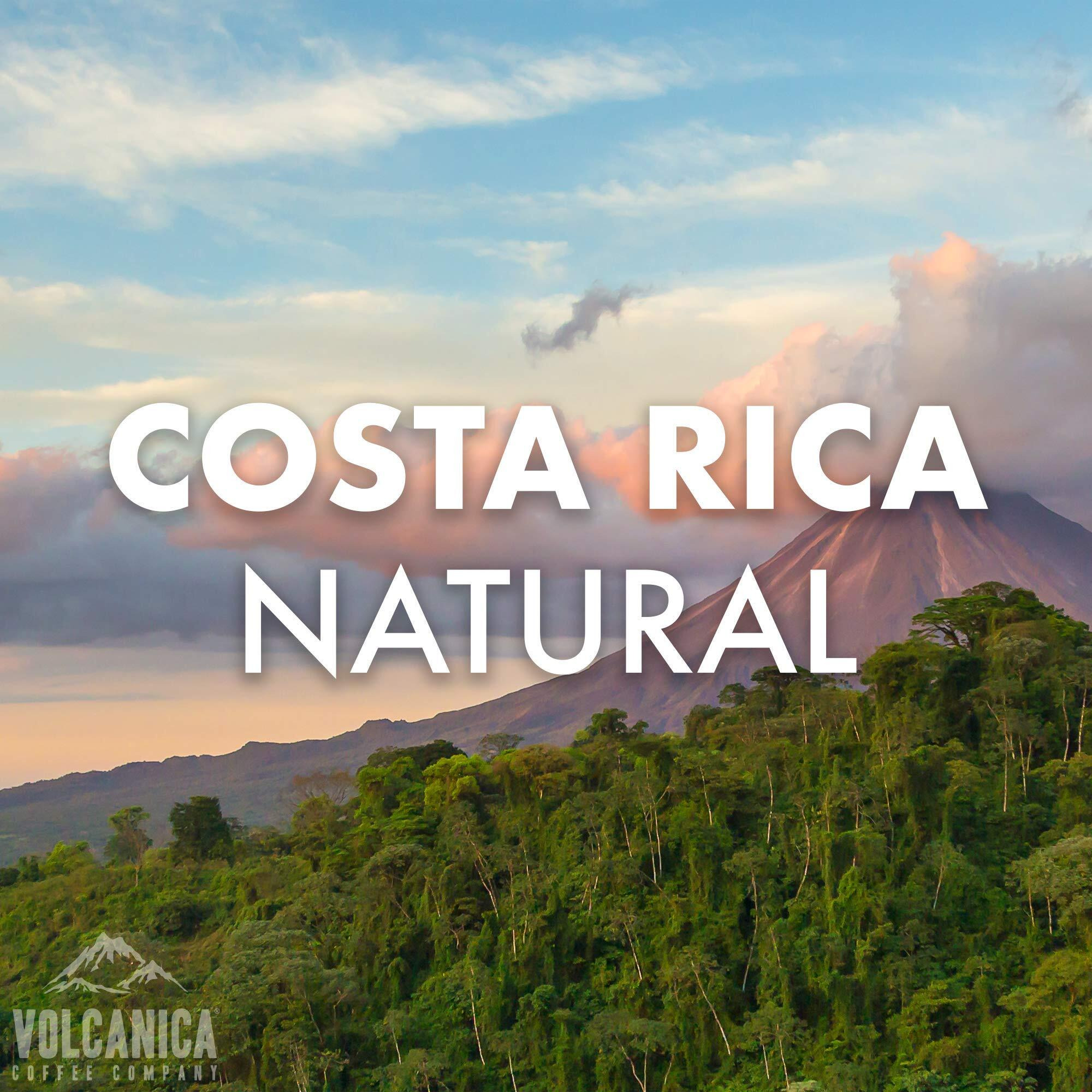 Costa Rica Coffee, Natural Process, Whole Bean, Fresh Roasted, 16-Ounce