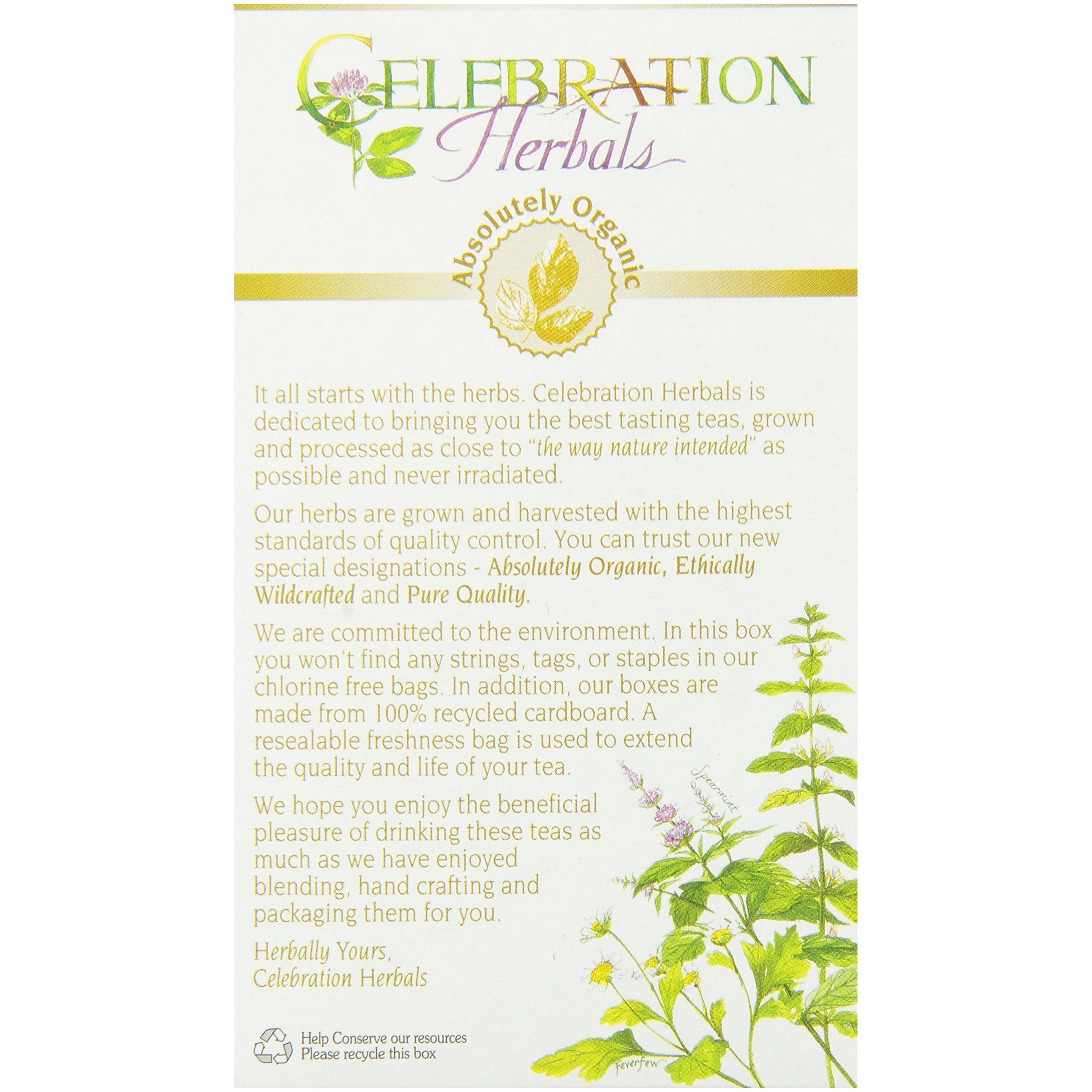 Celebration Herbals Dandelion Leaf Tea Bags 24 Count