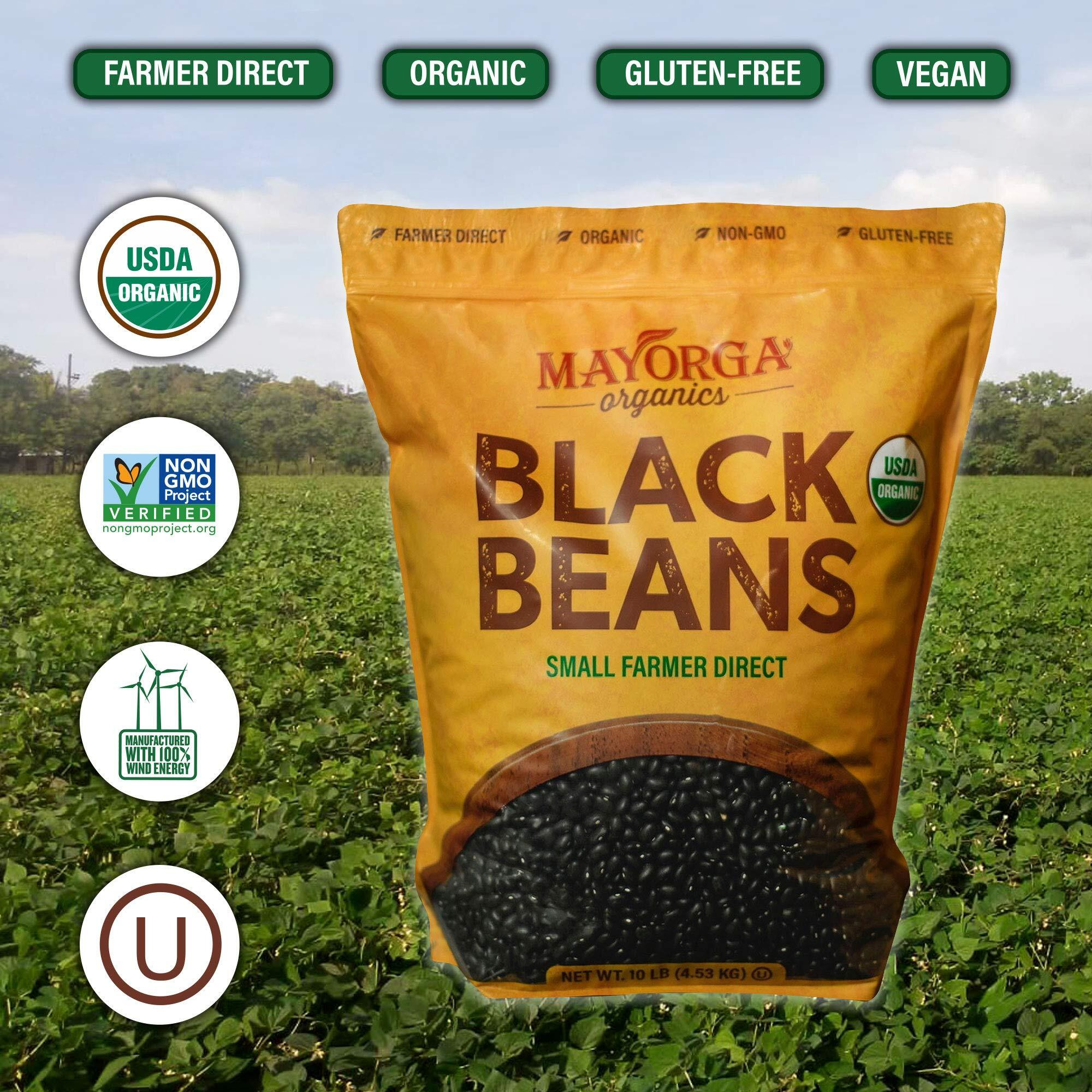 Organic Dry Black Beans By Mayorga, Usda Organic Certified, Gluten-Free, Non-Gmo Verified, Direct Trade, Kosher, Frijoles Negros, 10 Lb Resealable Bag