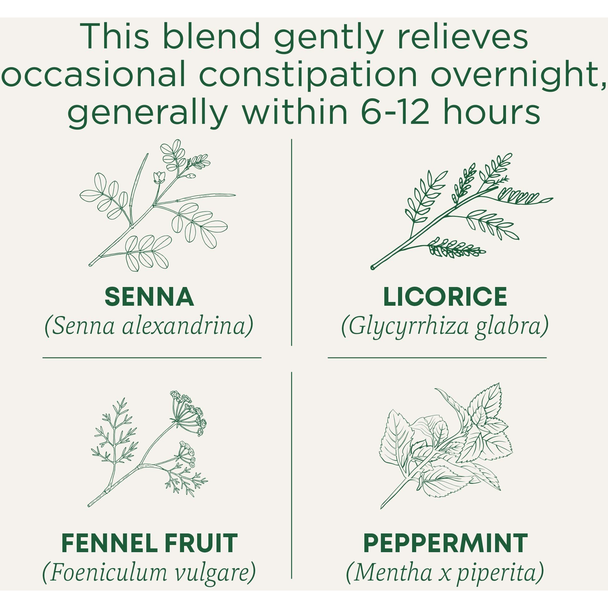 Traditional Medicinals Tea, Organic Smooth Move Peppermint, Relieves Occasional Constipation, Senna, 16 Count (Pack Of 6)