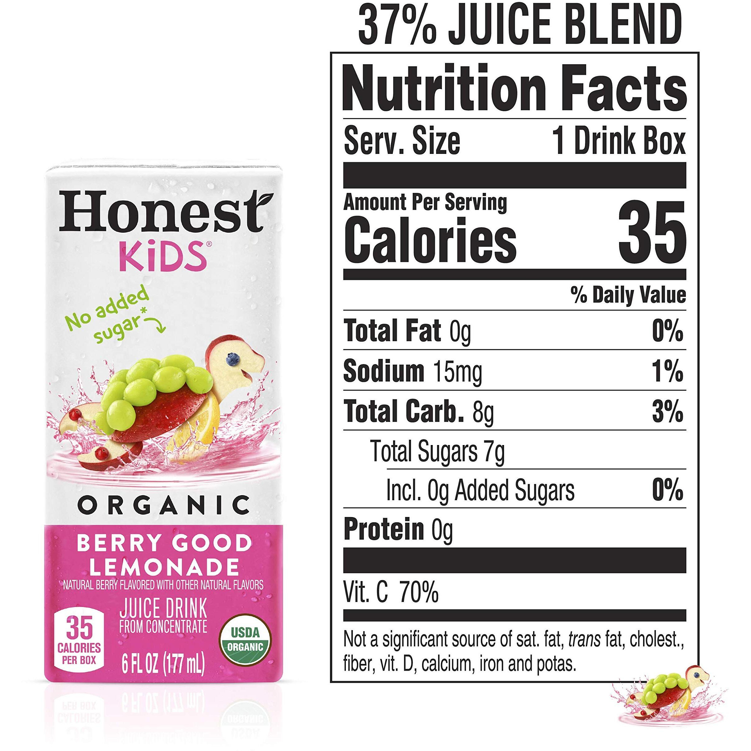 Honest Kids Berry Good Lemonade, Organic Juice Drink, Berry Lemonade, 6 Fl Oz (Pack Of 40)