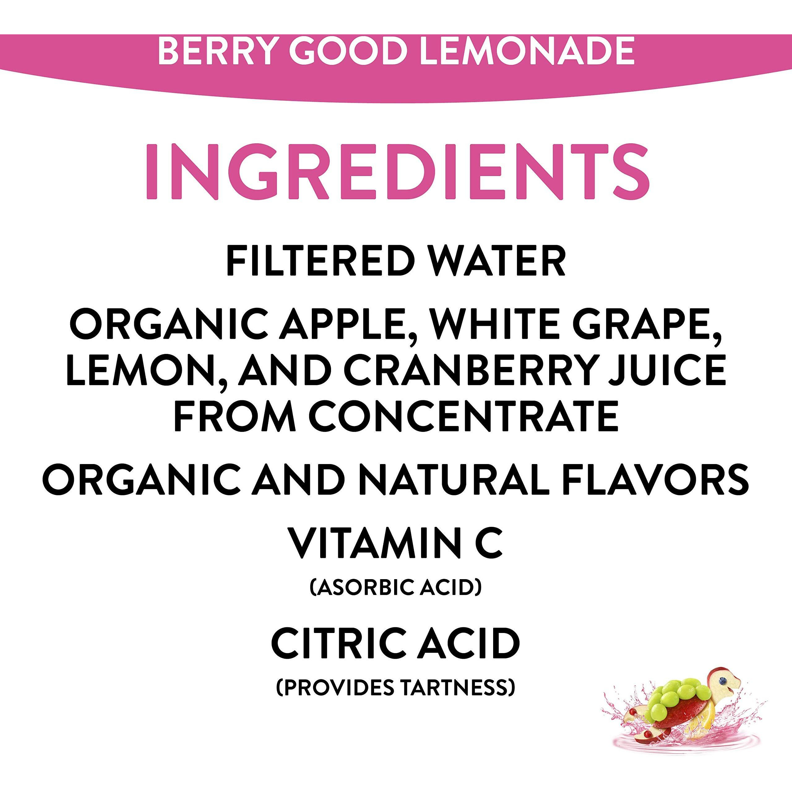 Honest Kids Berry Good Lemonade, Organic Juice Drink, Berry Lemonade, 6 Fl Oz (Pack Of 40)