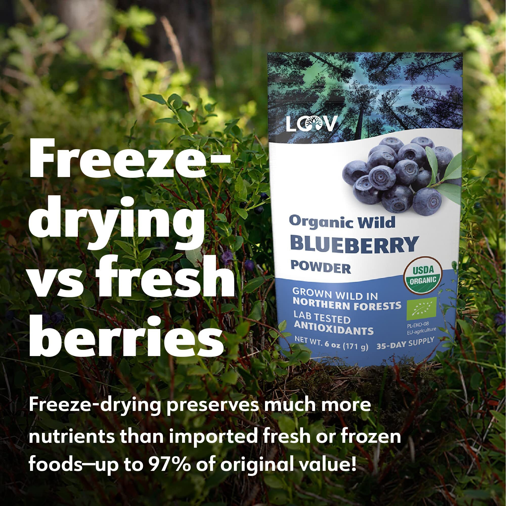 Loov Organic Wild Blueberry Powder - 29-Day Supply, 6 Oz, Good For Smoothie & Breakfast, Freeze-Dried, From Northern Europe, No Added Sugar